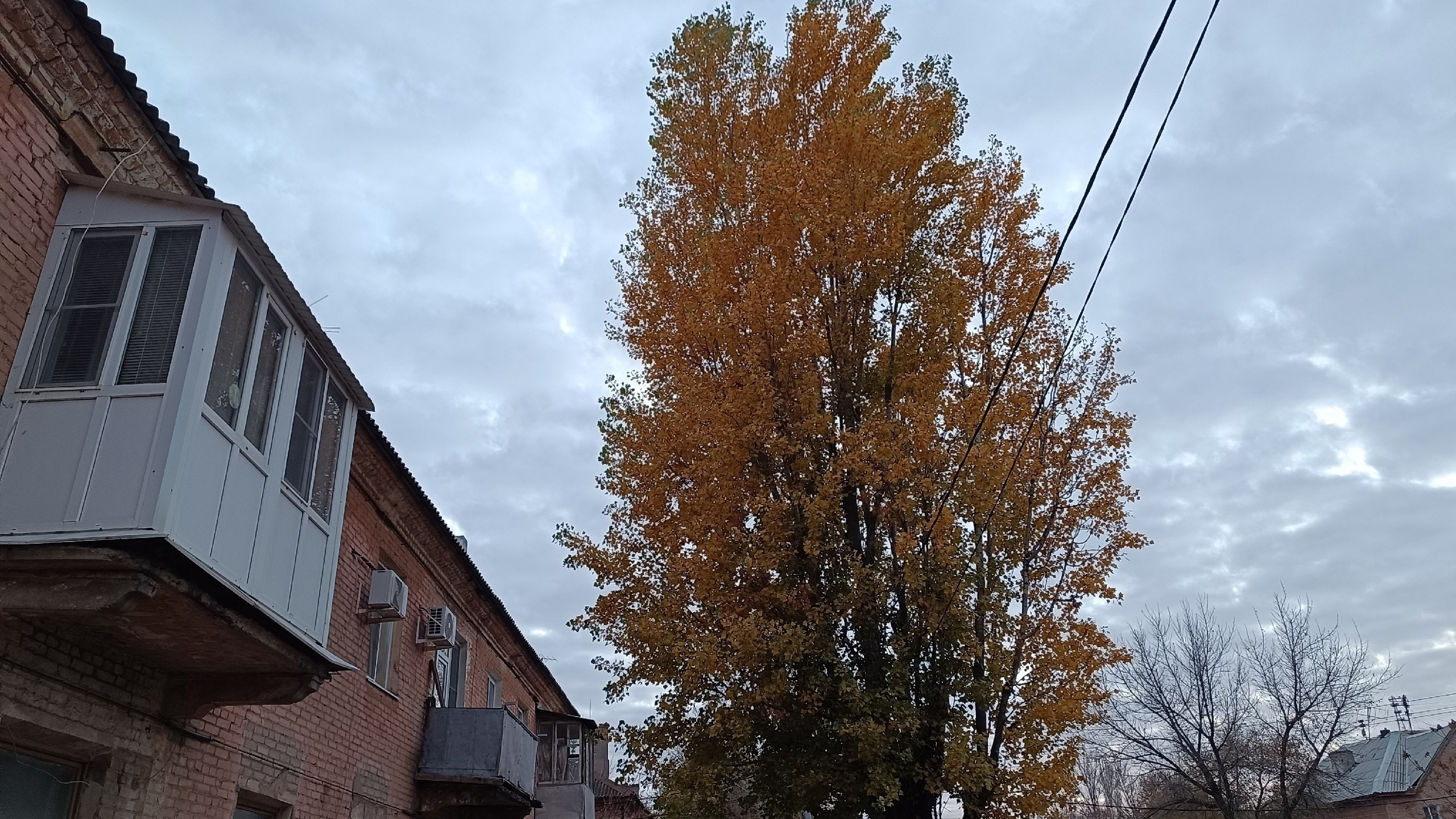 Читальный зал. Марина Рыбкина — Глубинная психология