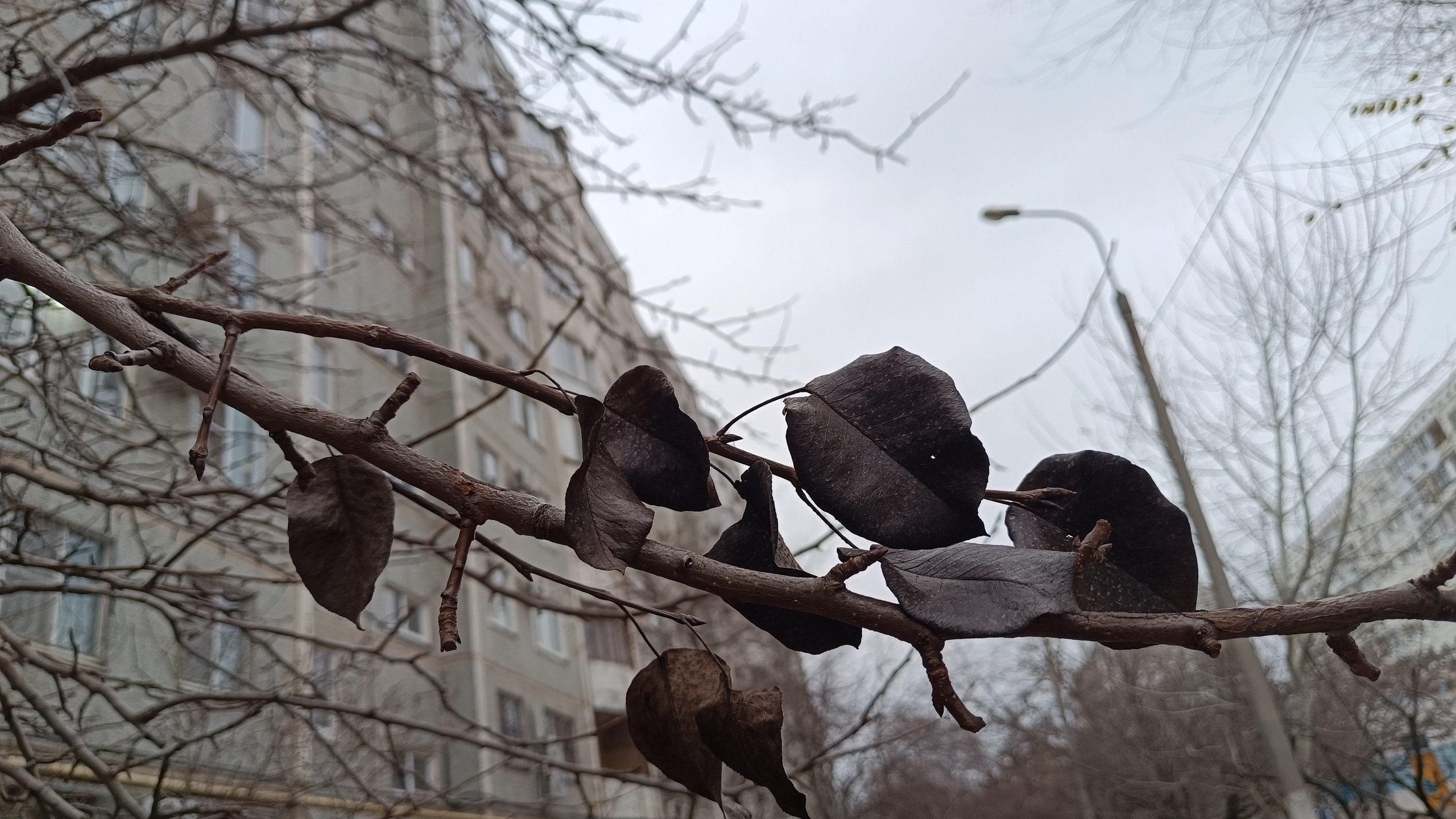 Читальный зал. Марина Рыбкина — Глубинная психология