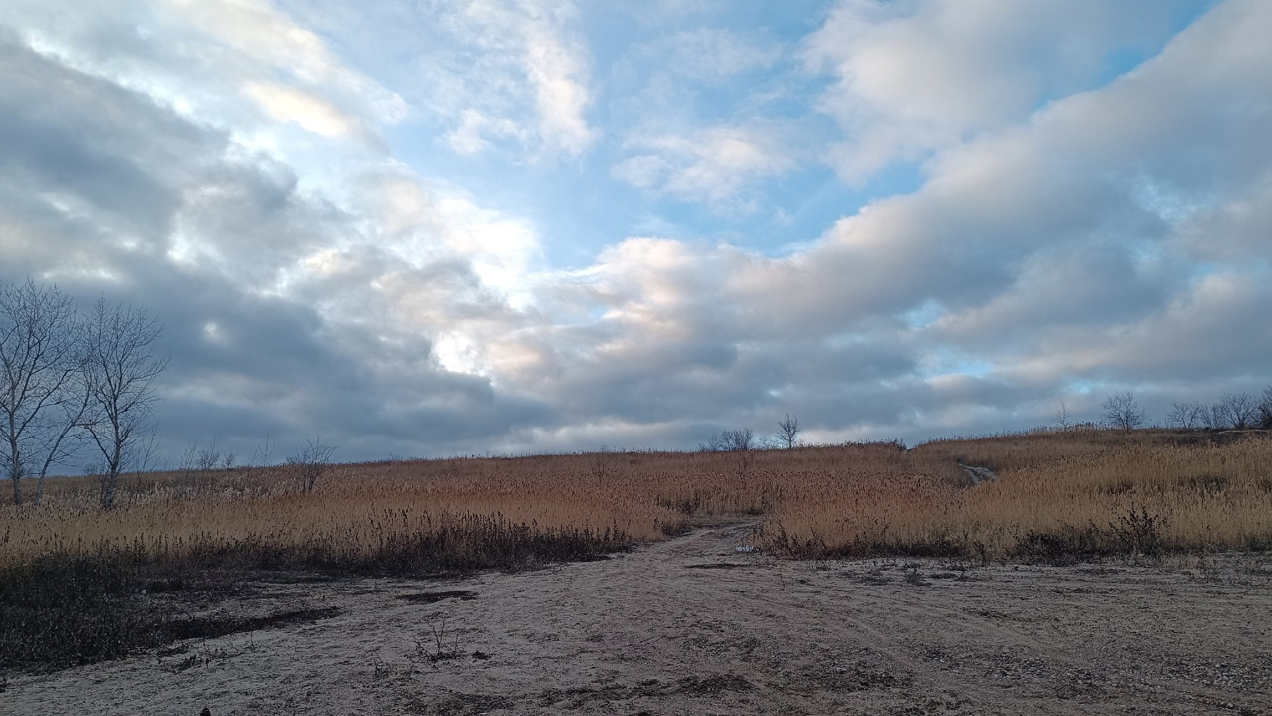 Читальный зал. Марина Рыбкина — Глубинная психология