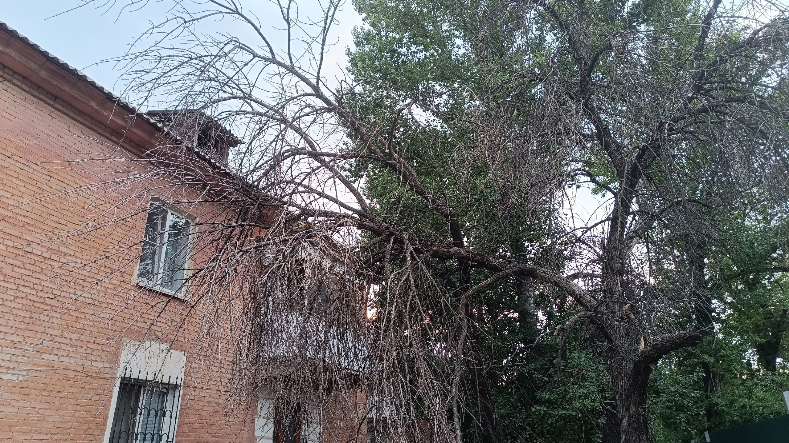 Читальный зал. Марина Рыбкина — Глубинная психология