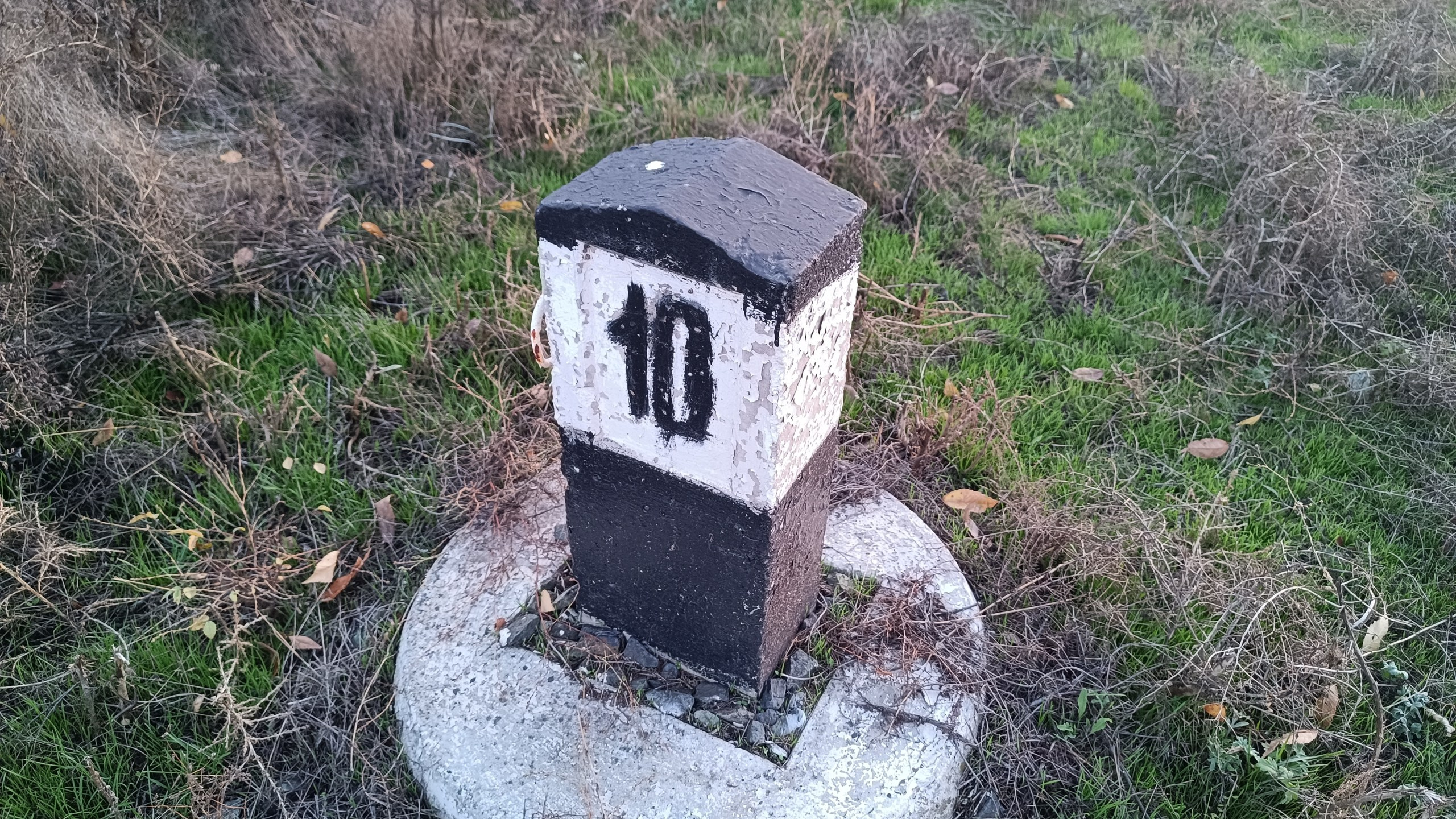 Читальный зал. Марина Рыбкина — Глубинная психология