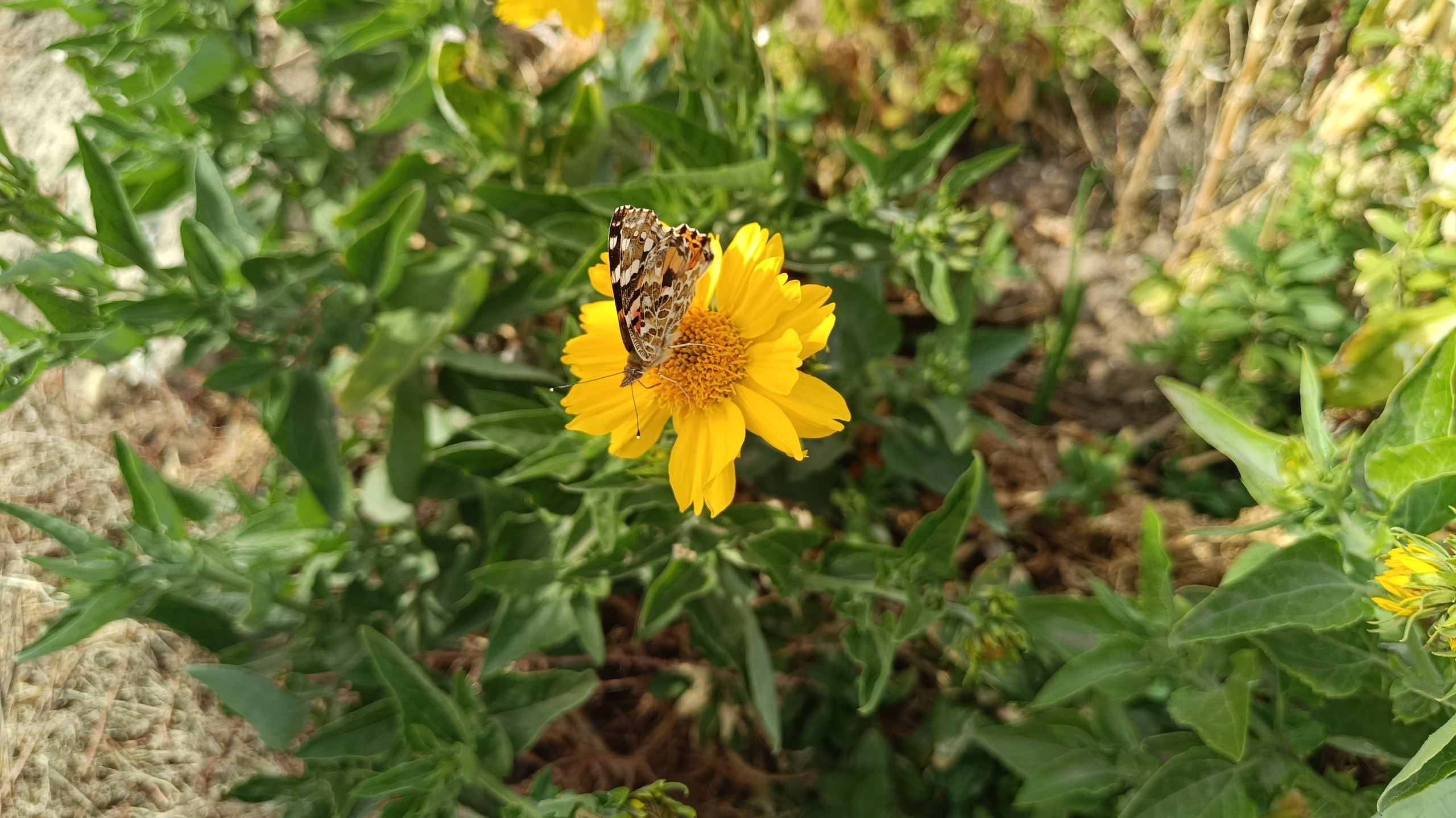 Читальный зал. Марина Рыбкина — Глубинная психология
