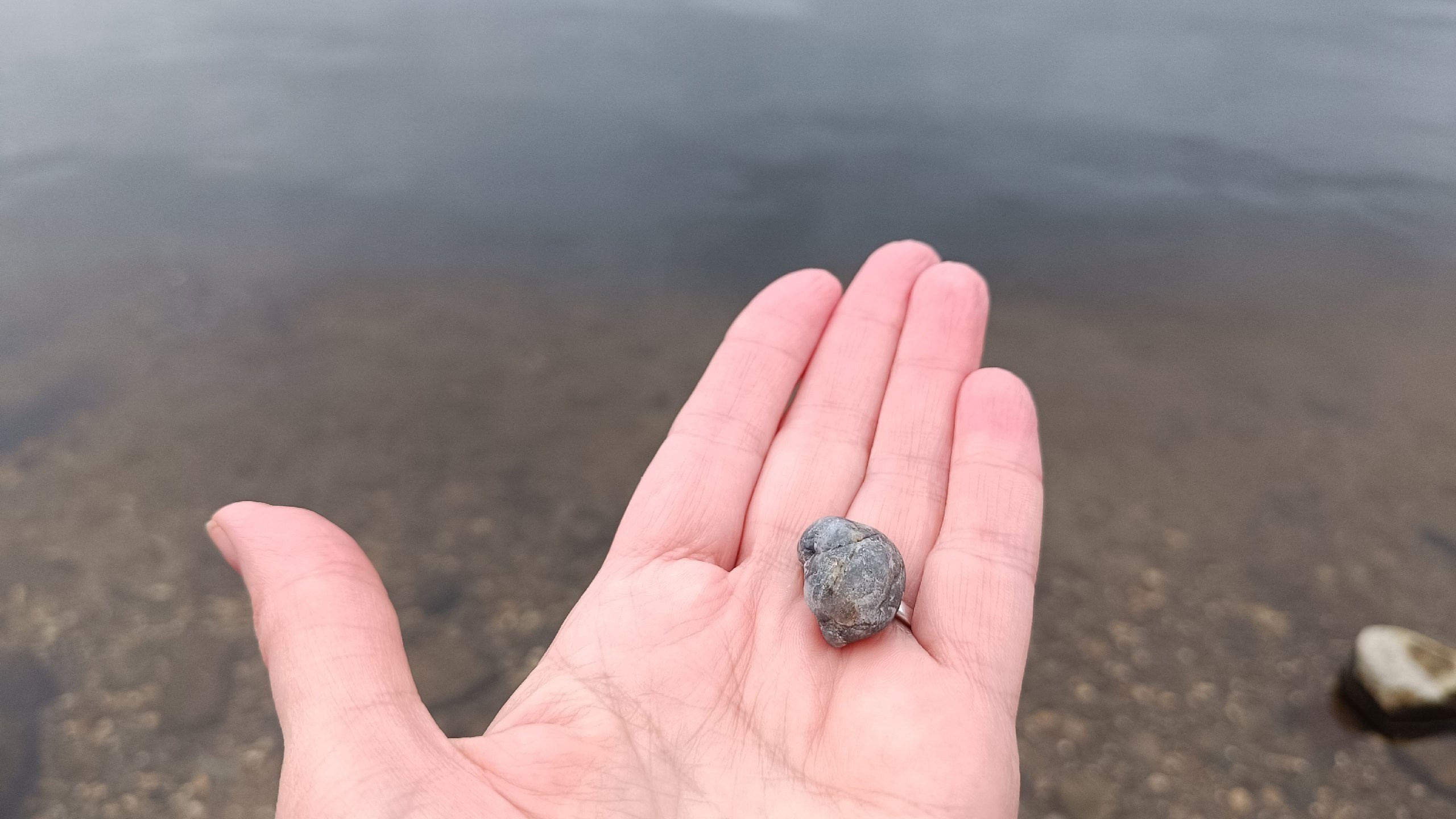 Читальный зал. Марина Рыбкина — Глубинная психология