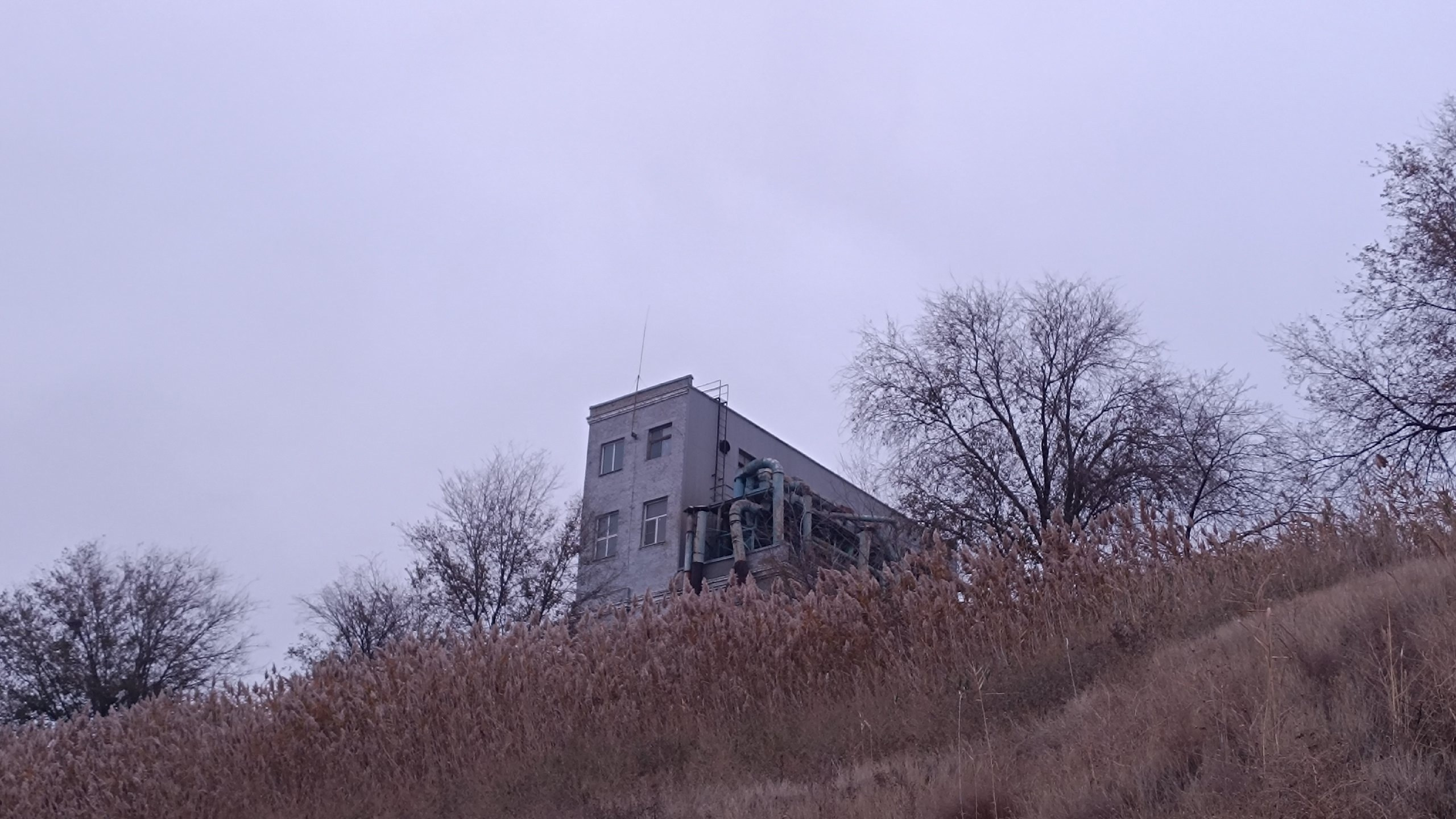 Читальный зал. Марина Рыбкина — Глубинная психология