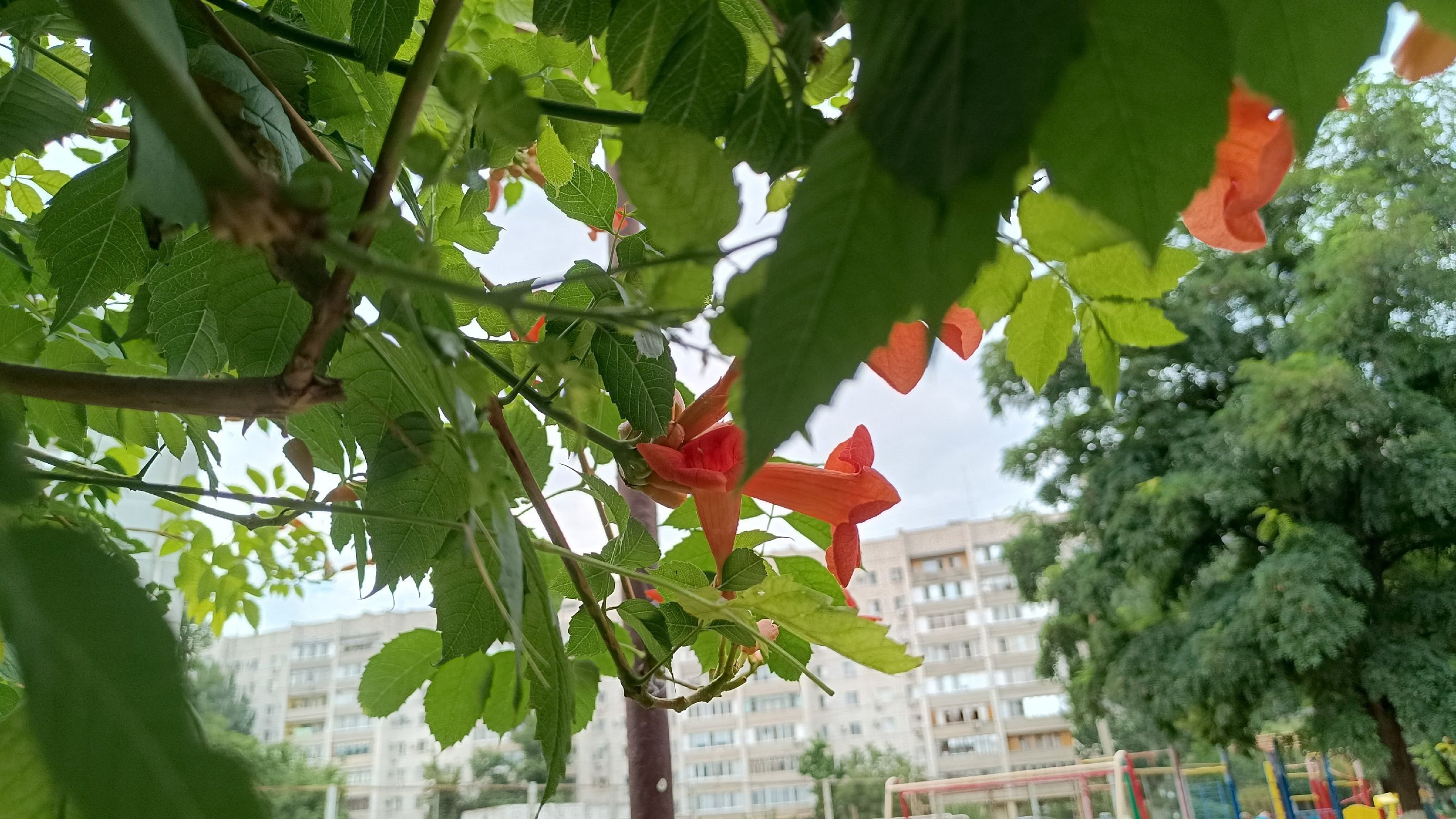 Читальный зал. Марина Рыбкина — Глубинная психология