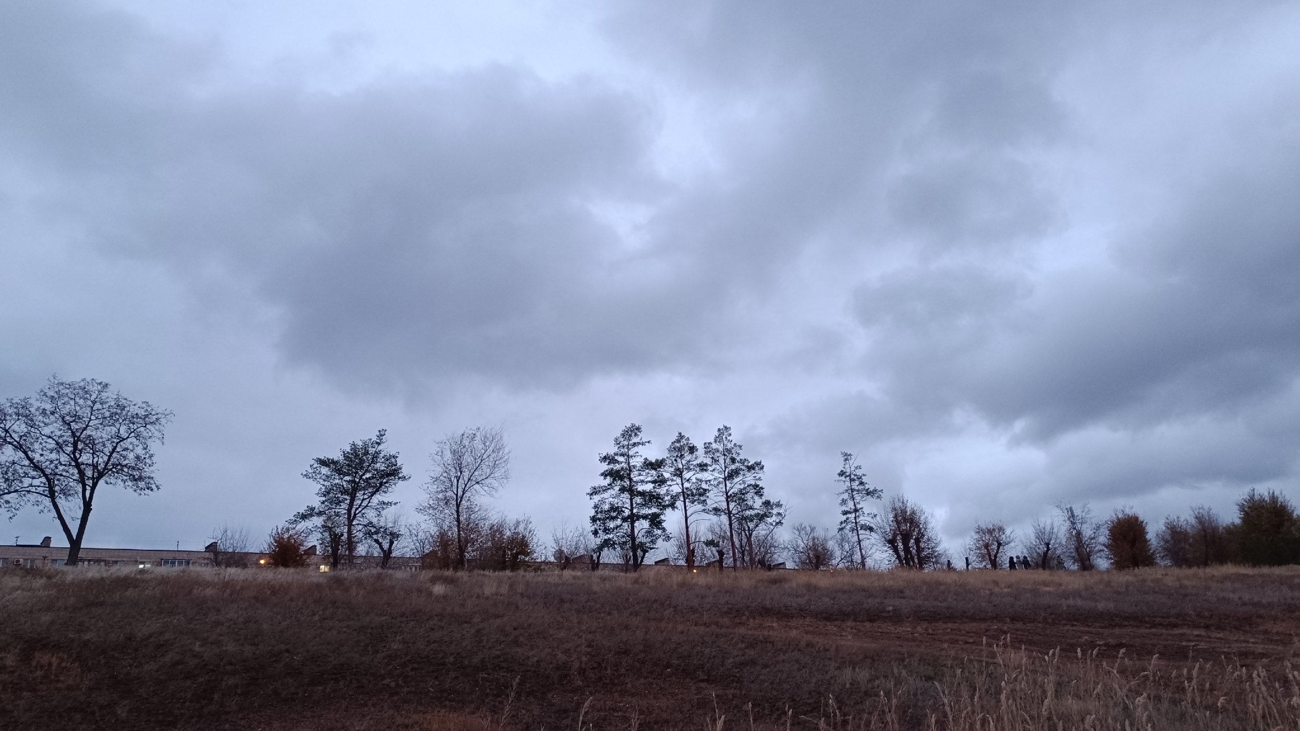 Читальный зал. Марина Рыбкина — Глубинная психология