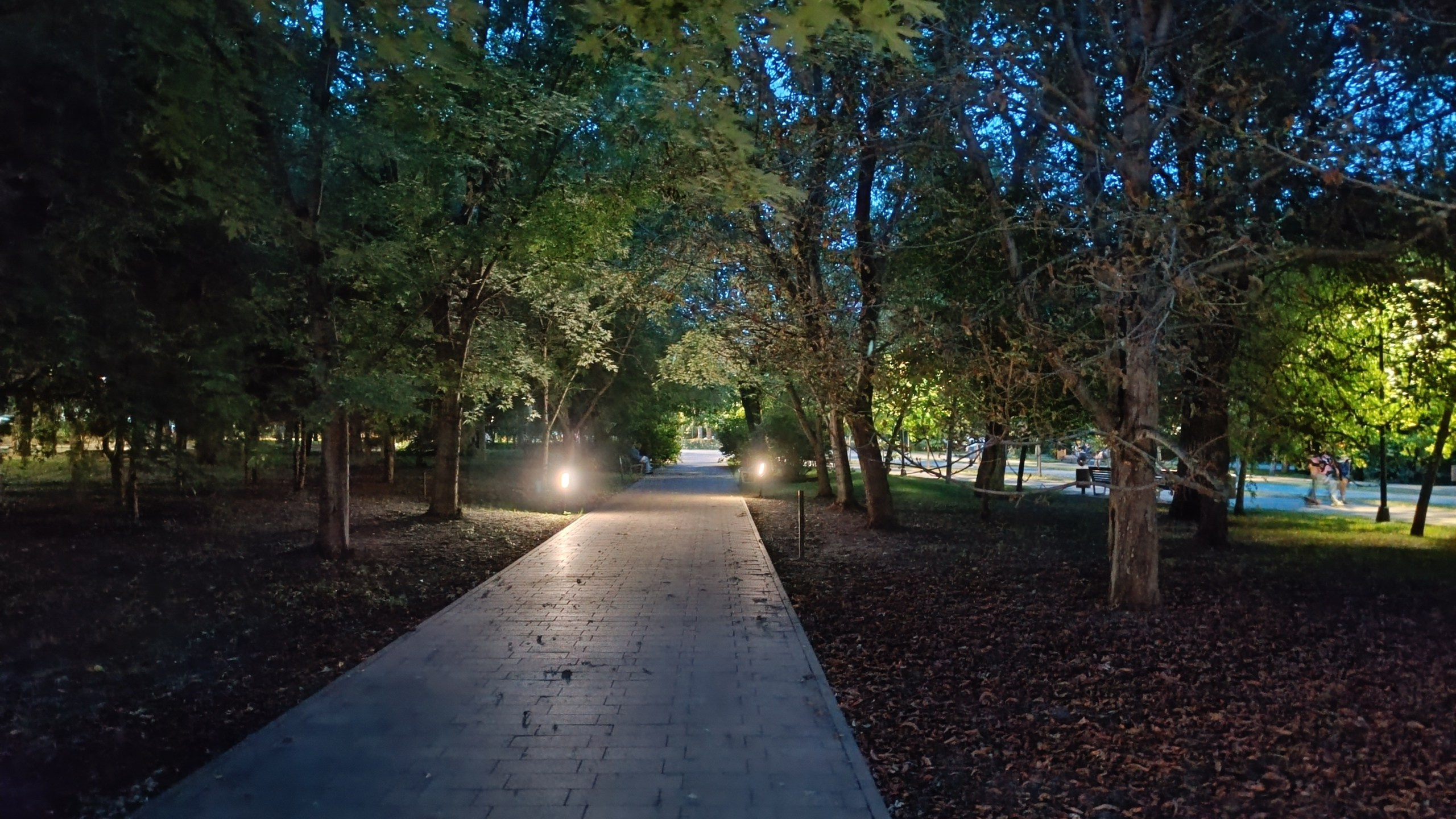 Читальный зал. Марина Рыбкина — Глубинная психология