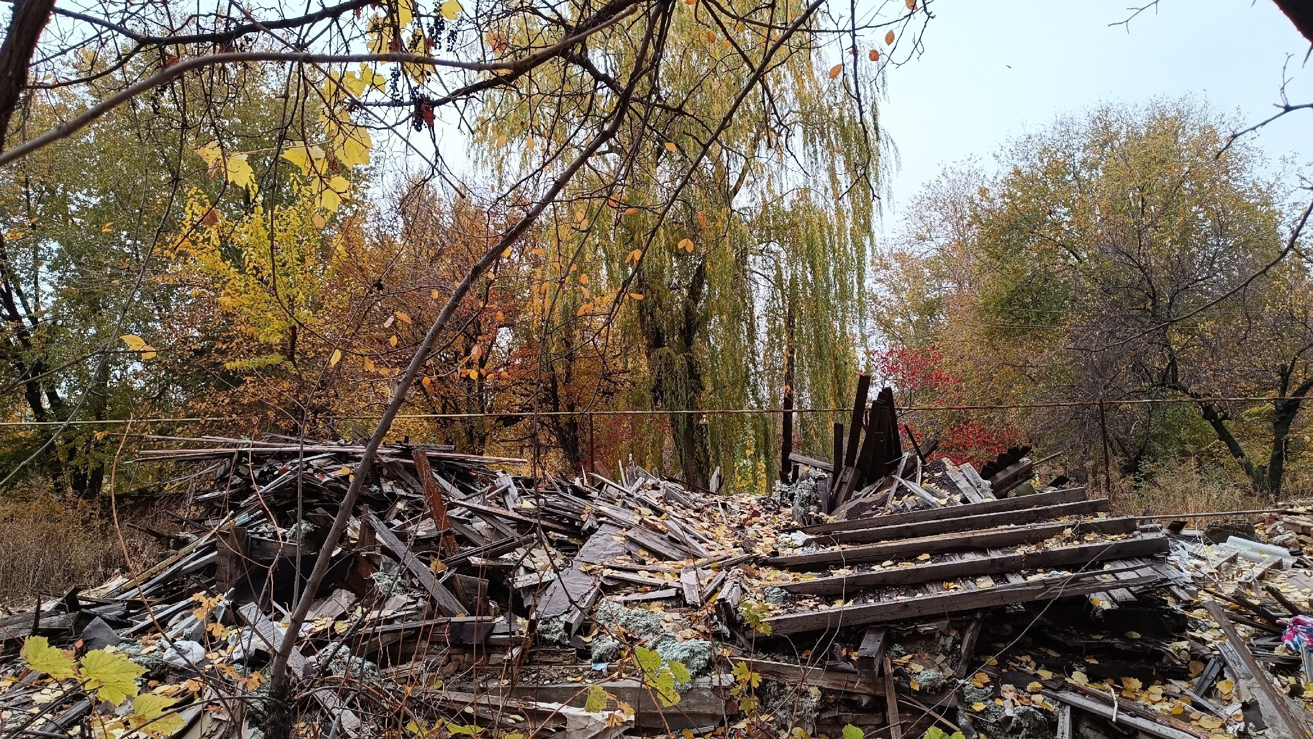 Читальный зал. Марина Рыбкина — Глубинная психология