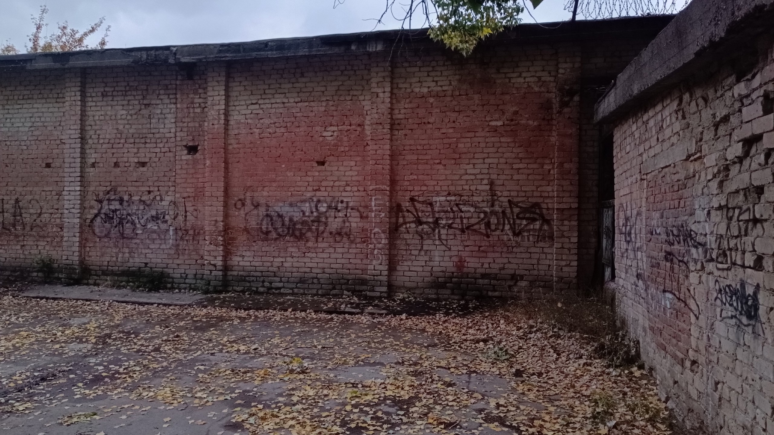 Читальный зал. Марина Рыбкина — Глубинная психология