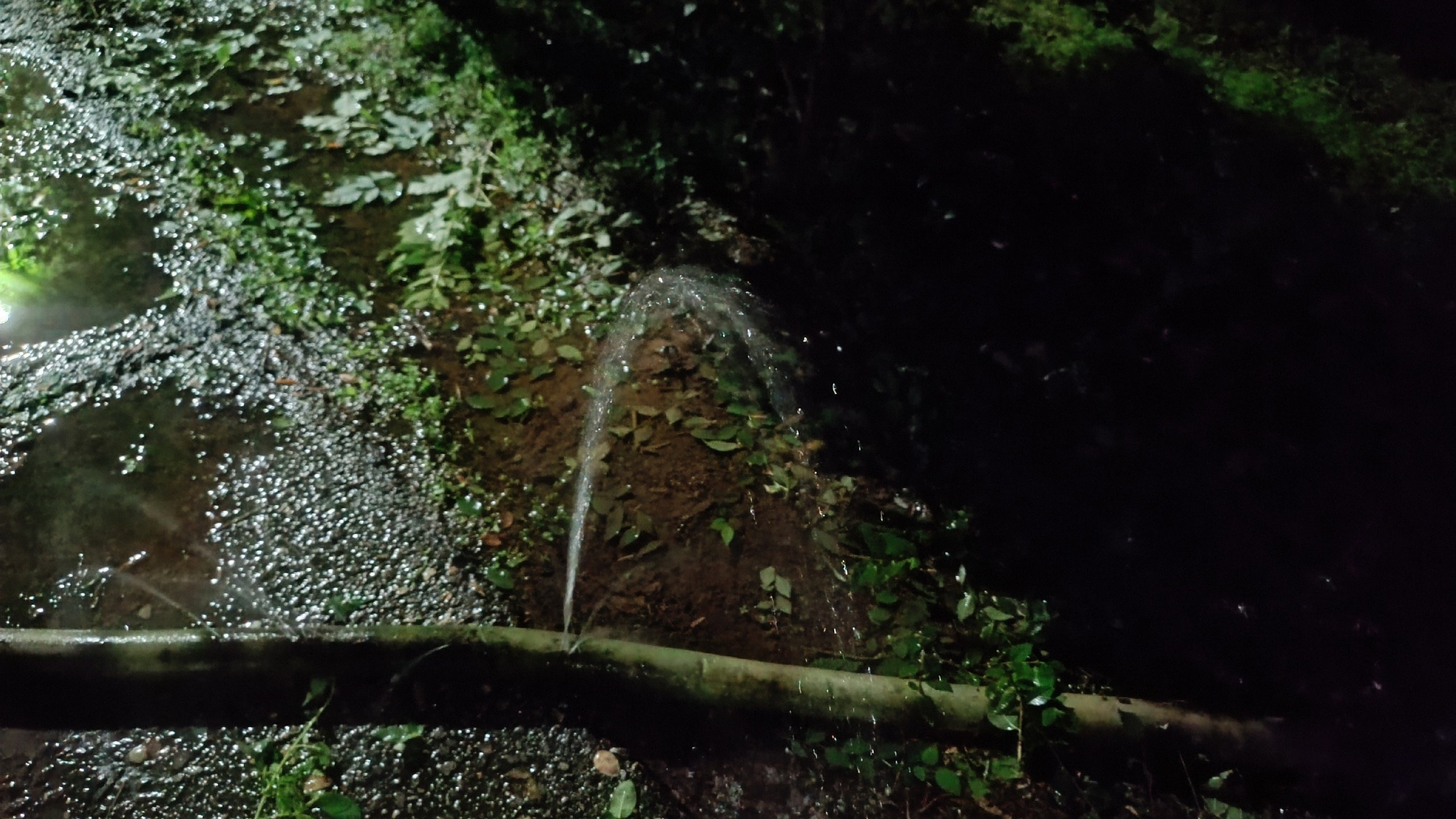 Читальный зал. Марина Рыбкина — Глубинная психология