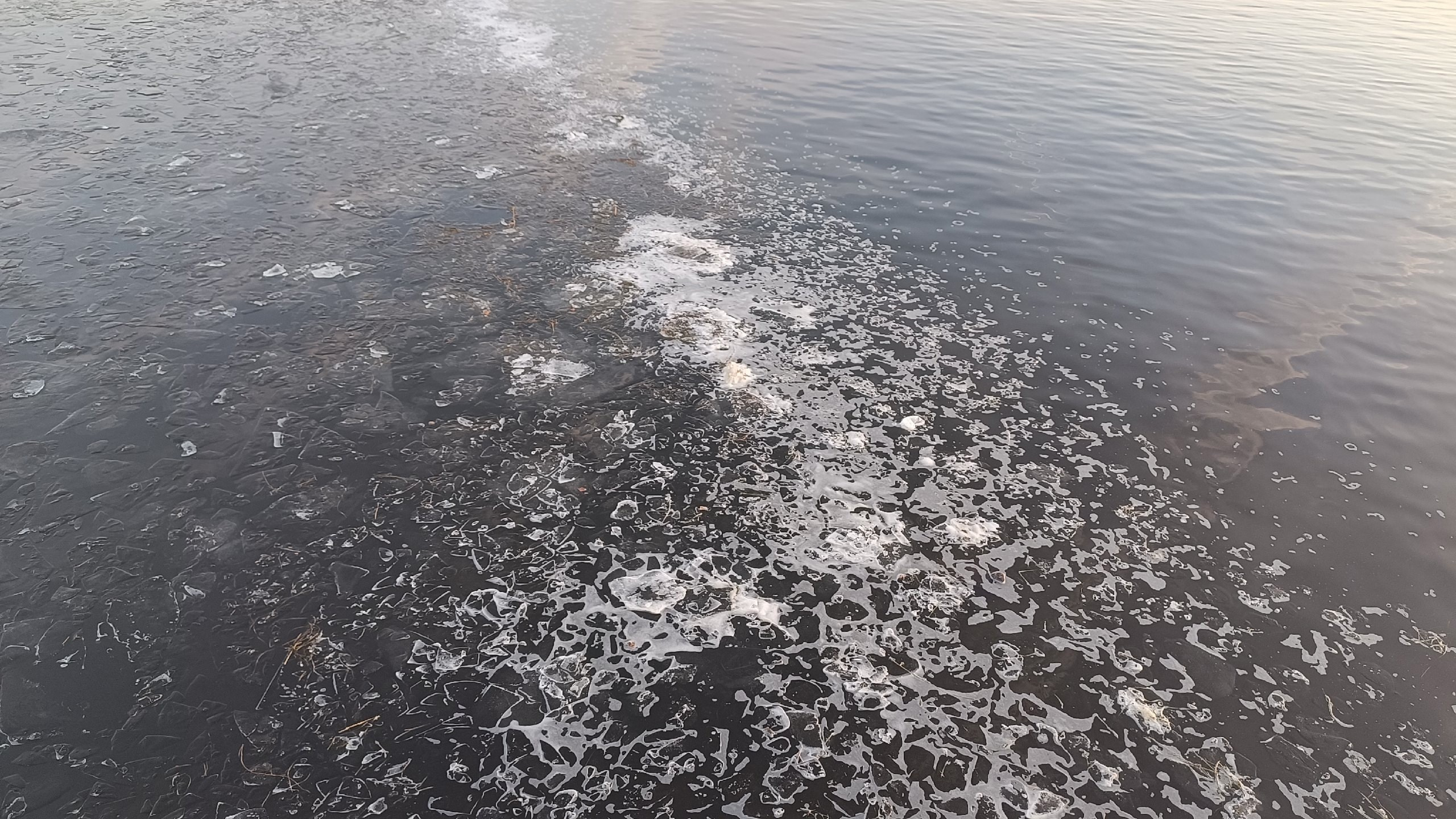 Читальный зал. Марина Рыбкина — Глубинная психология