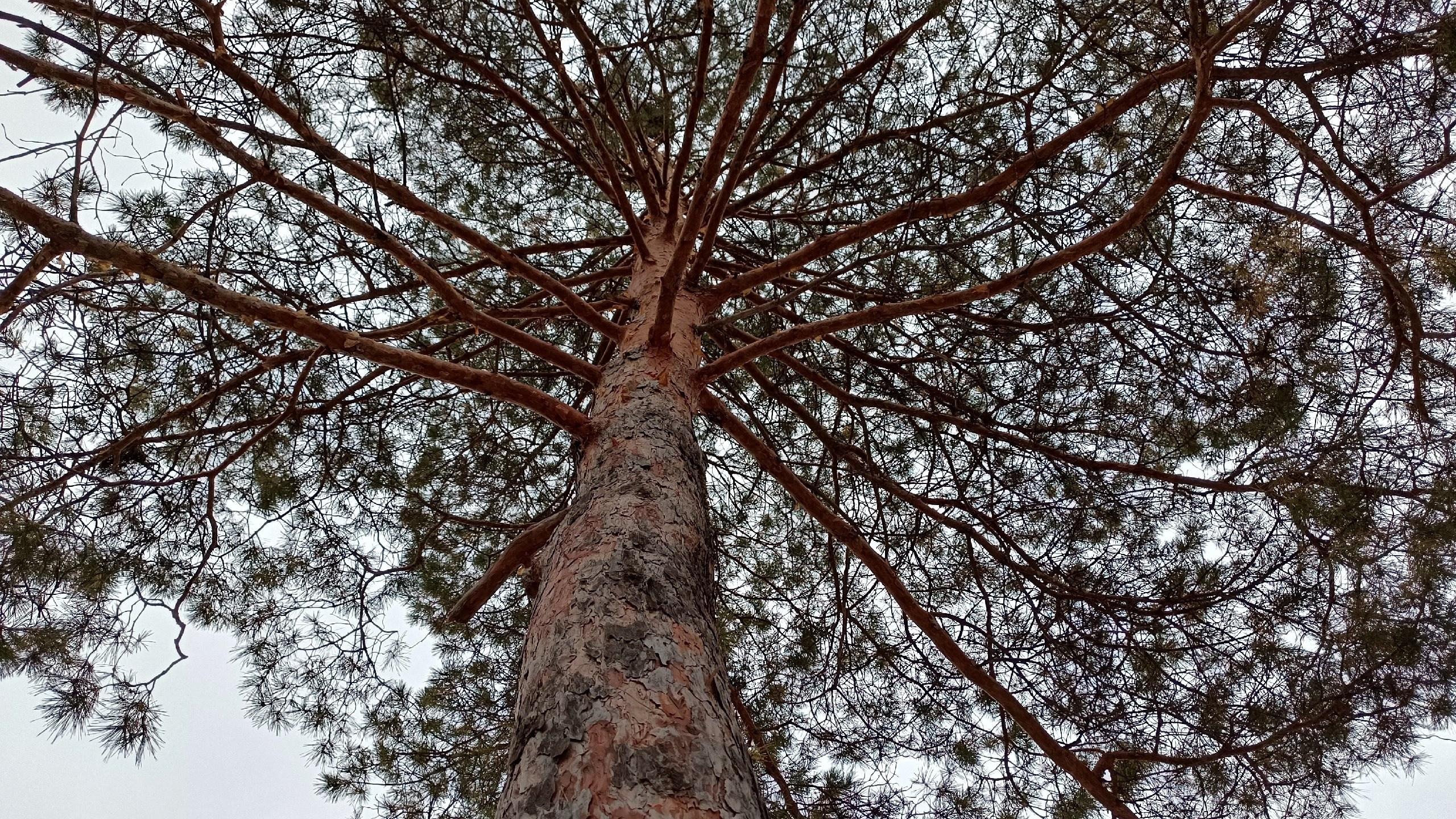 Читальный зал. Марина Рыбкина — Глубинная психология