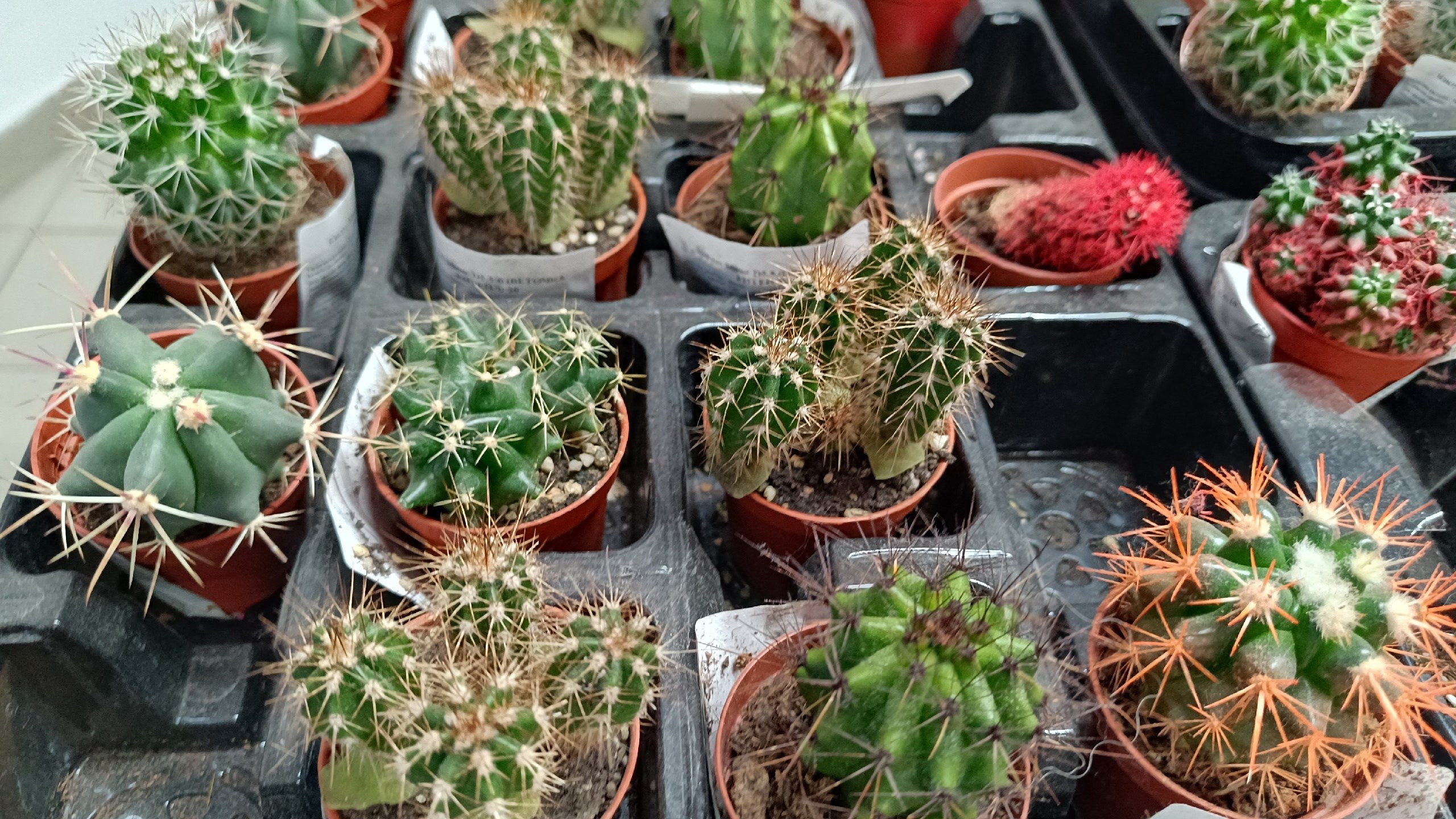 Читальный зал. Марина Рыбкина — Глубинная психология