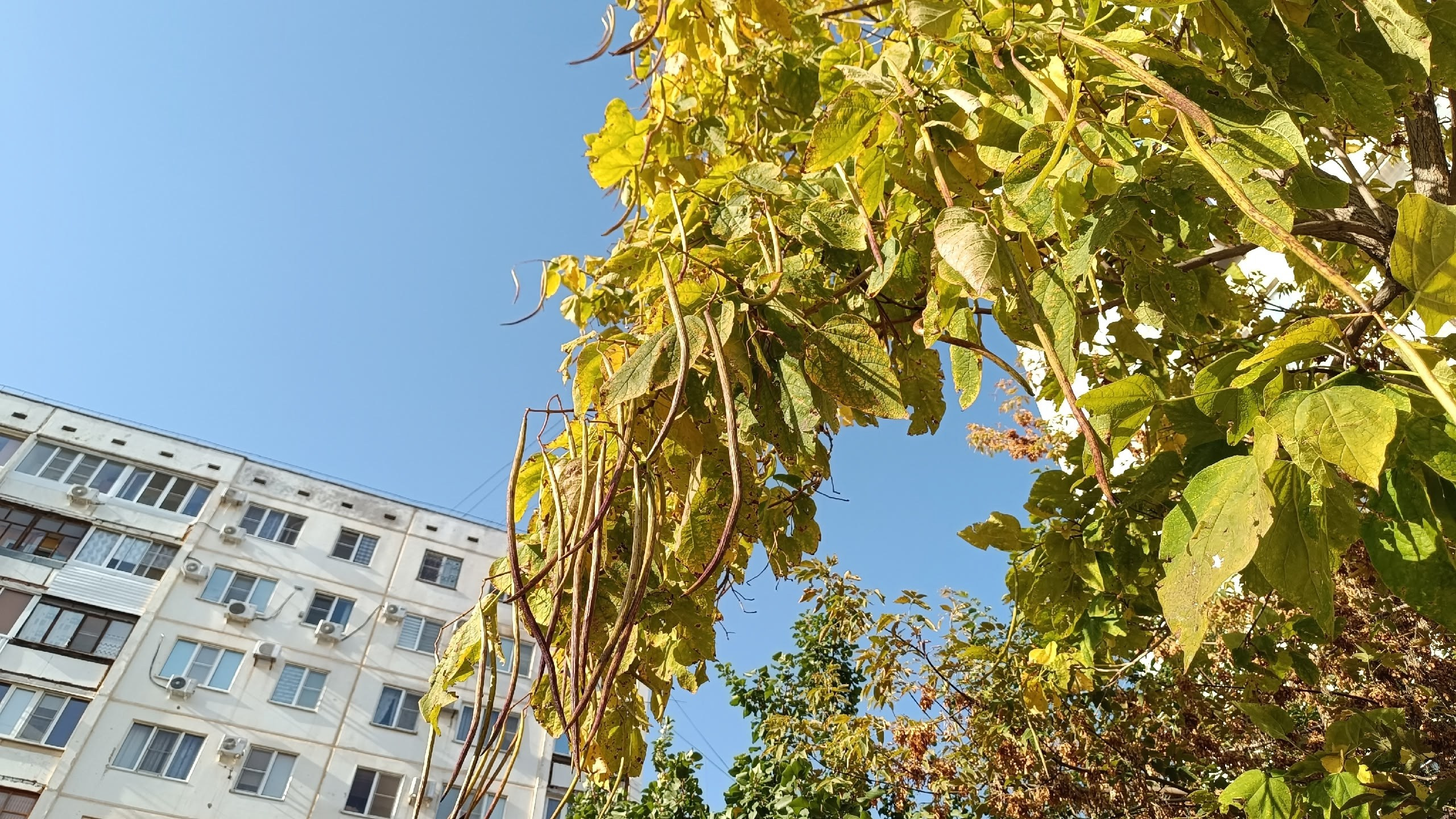 Читальный зал. Марина Рыбкина — Глубинная психология