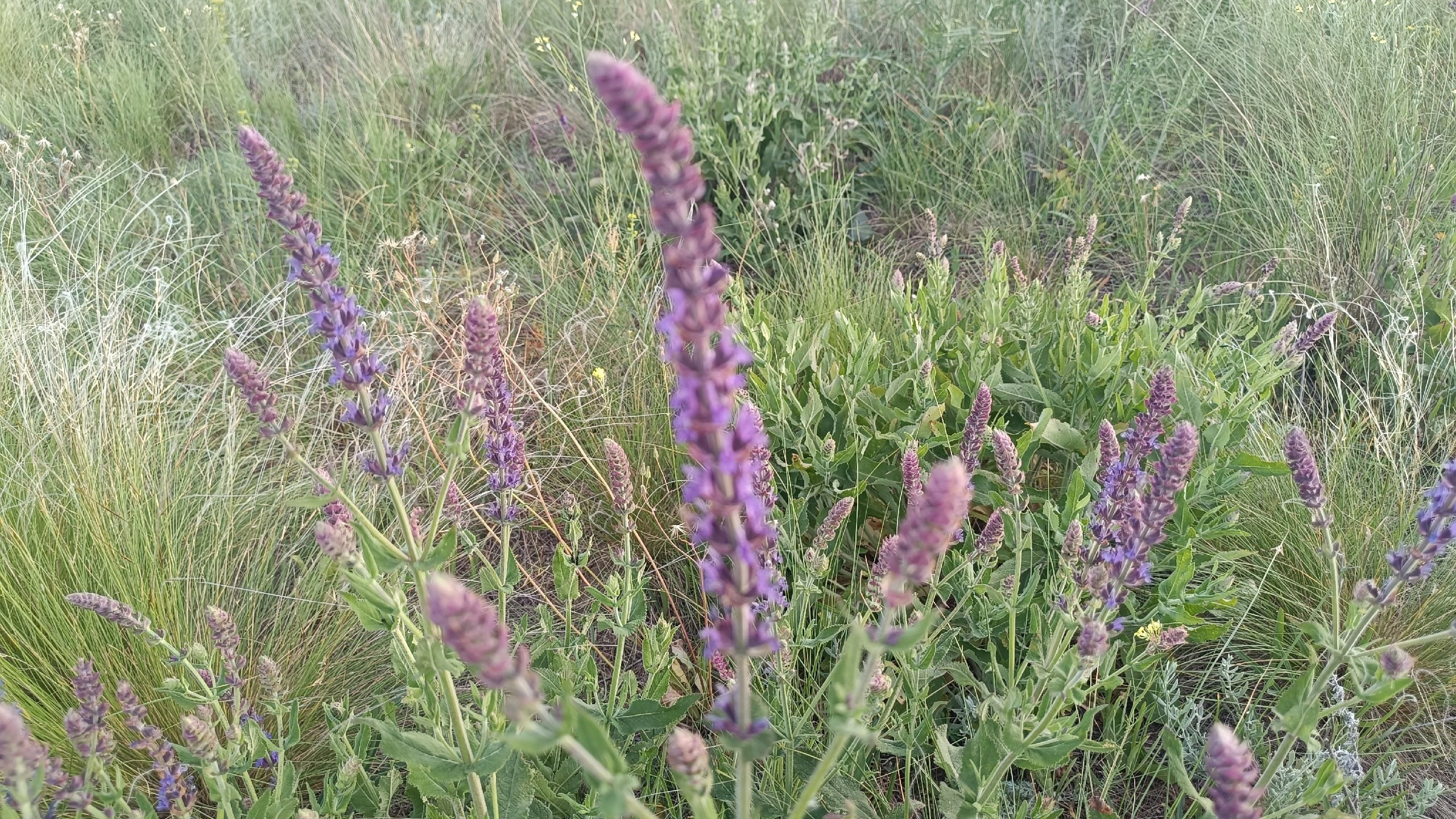 Читальный зал. Марина Рыбкина — Глубинная психология