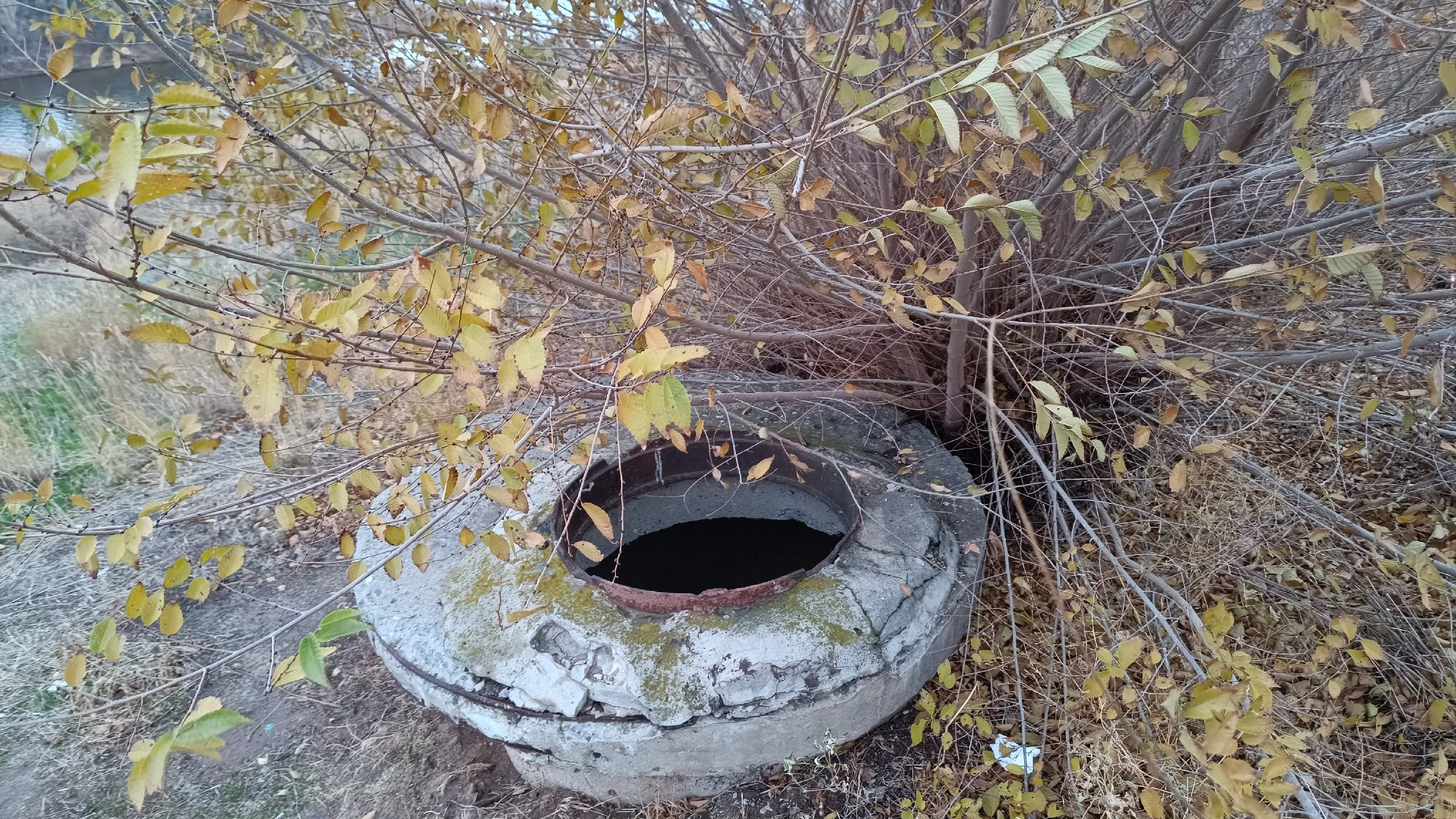 Читальный зал. Марина Рыбкина — Глубинная психология