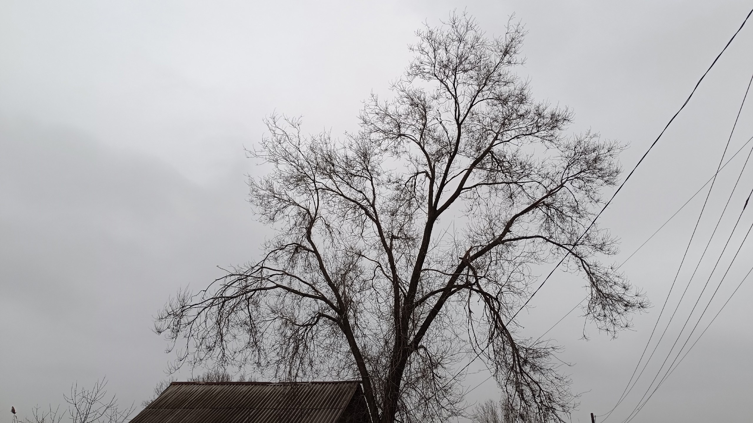 Читальный зал. Марина Рыбкина — Глубинная психология