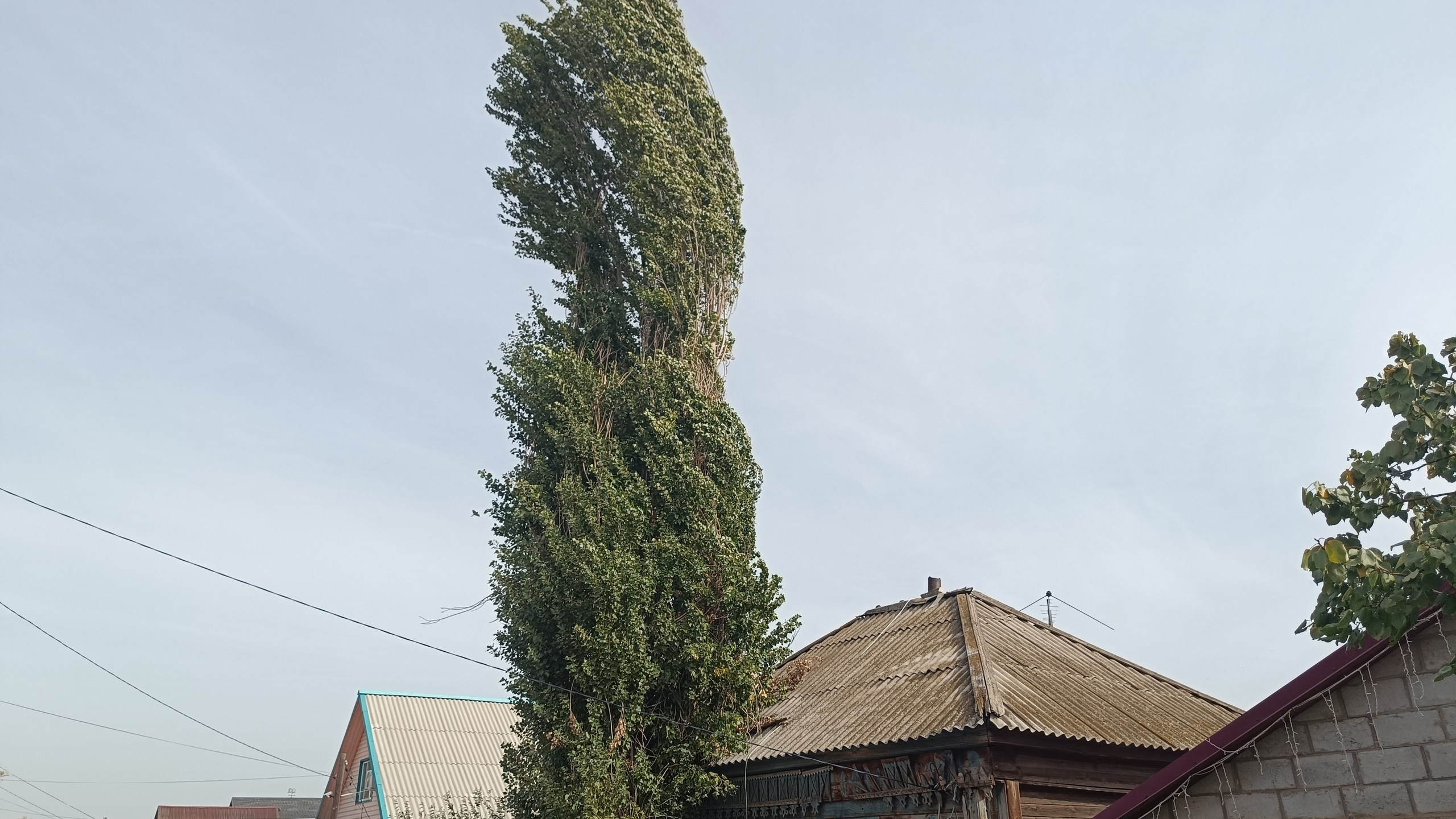 Читальный зал. Марина Рыбкина — Глубинная психология