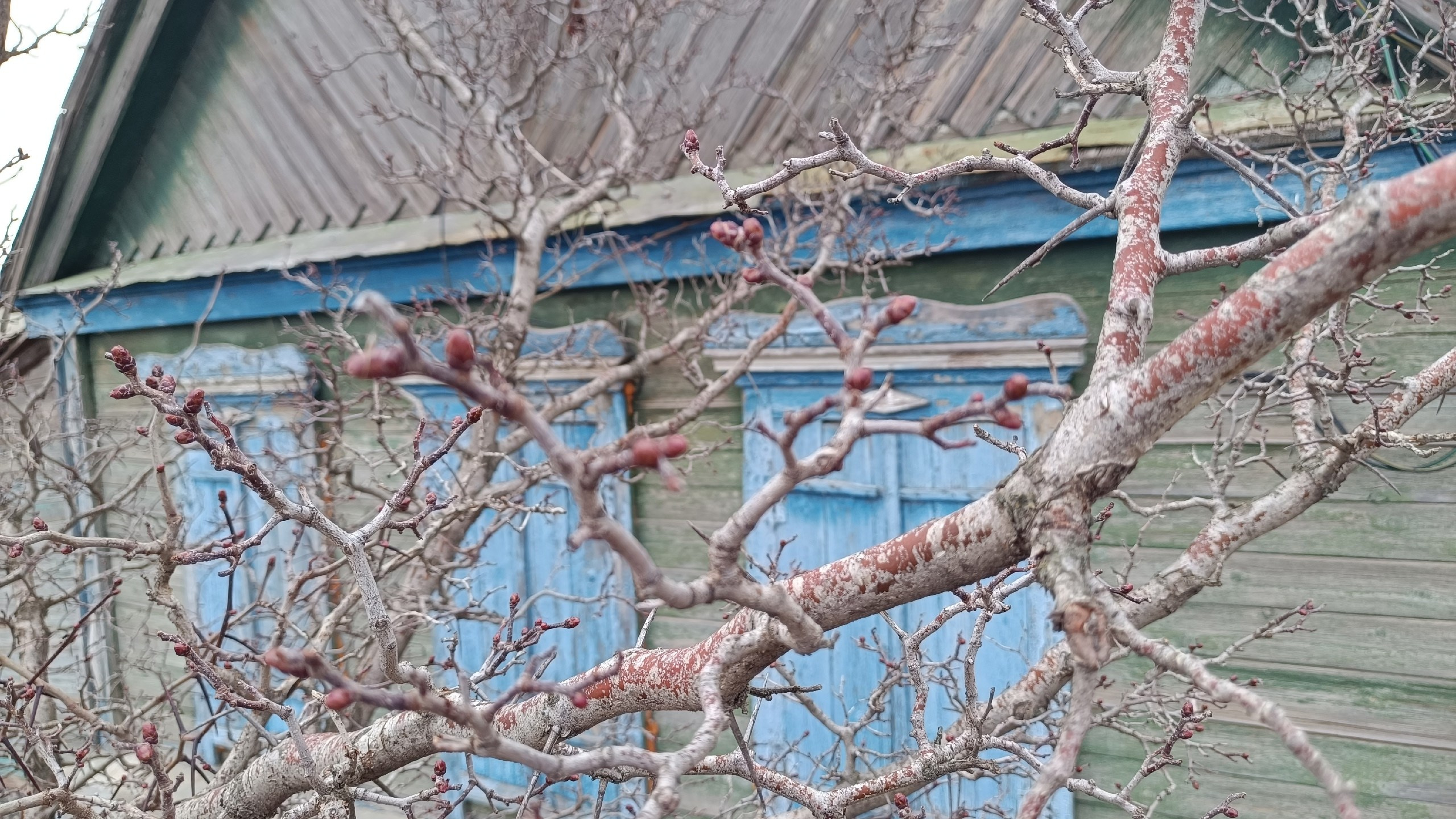 Читальный зал. Марина Рыбкина — Глубинная психология