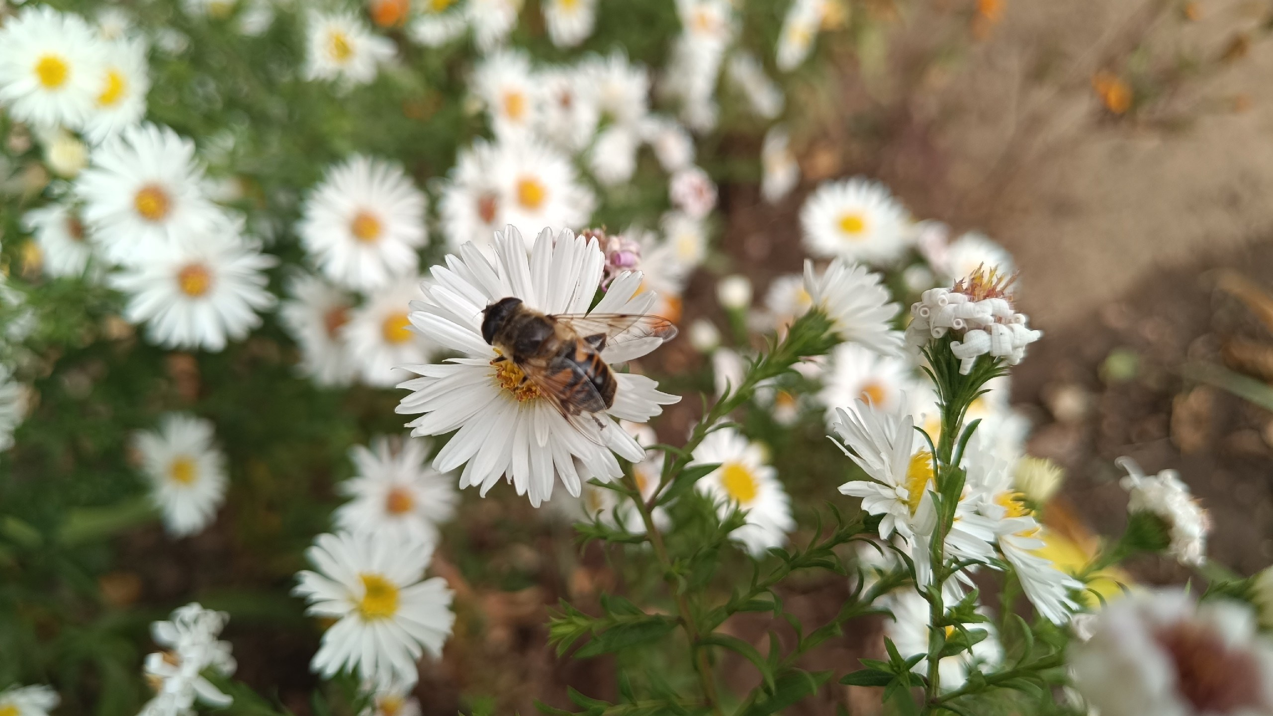 Читальный зал. Марина Рыбкина — Глубинная психология