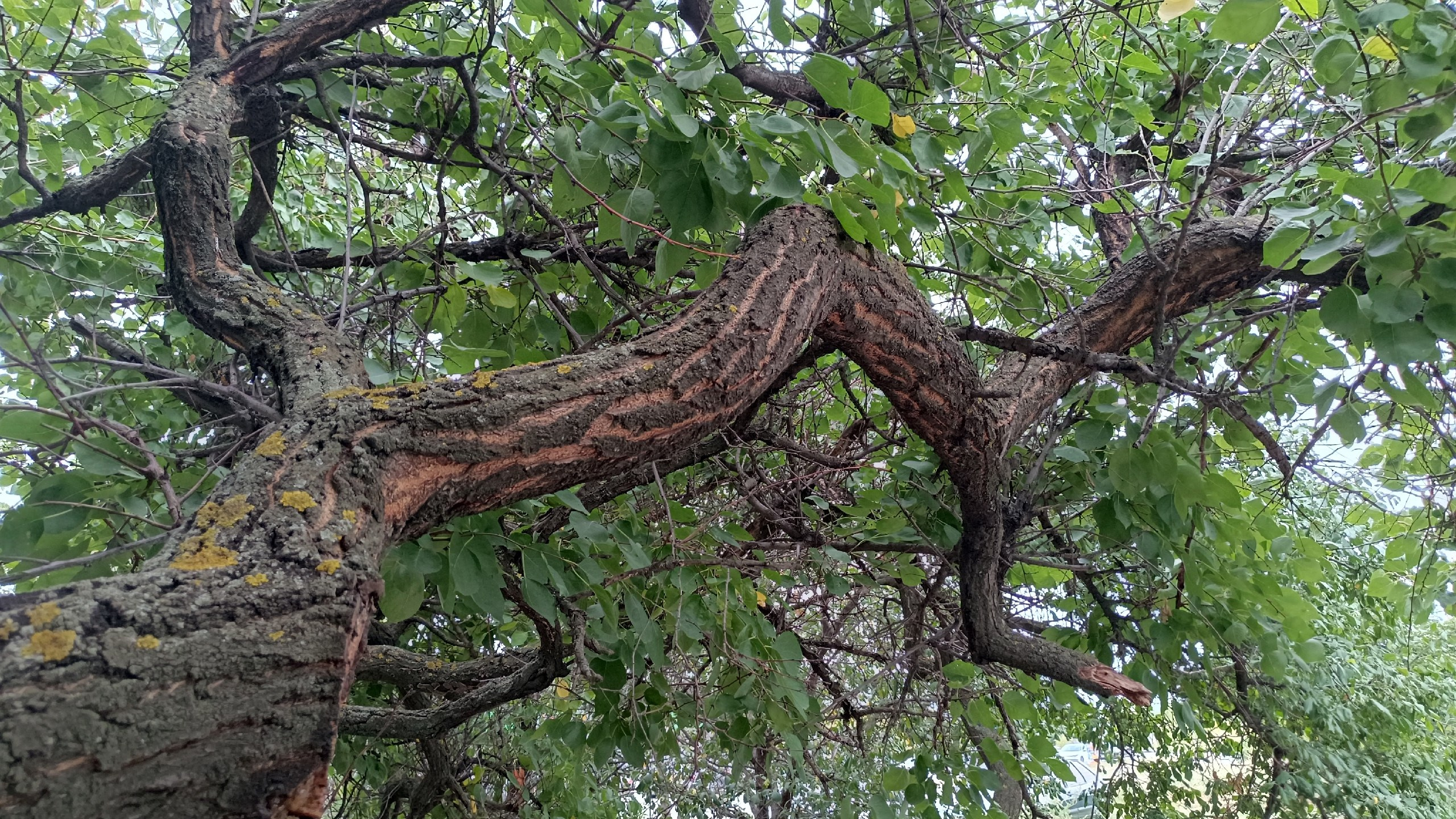 Читальный зал. Марина Рыбкина — Глубинная психология