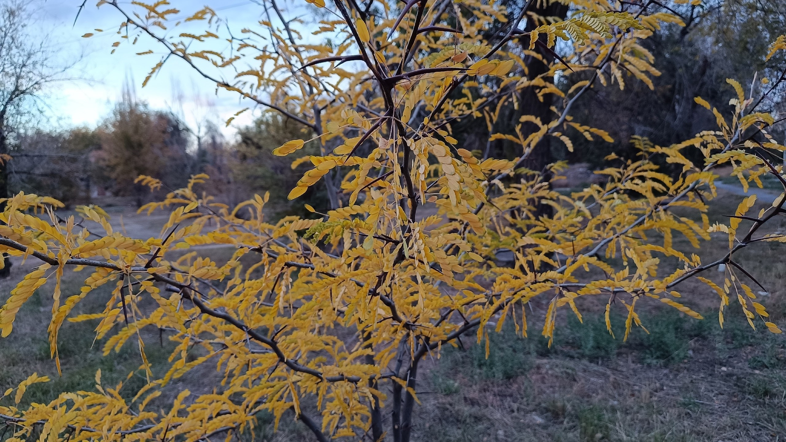 Читальный зал. Марина Рыбкина — Глубинная психология
