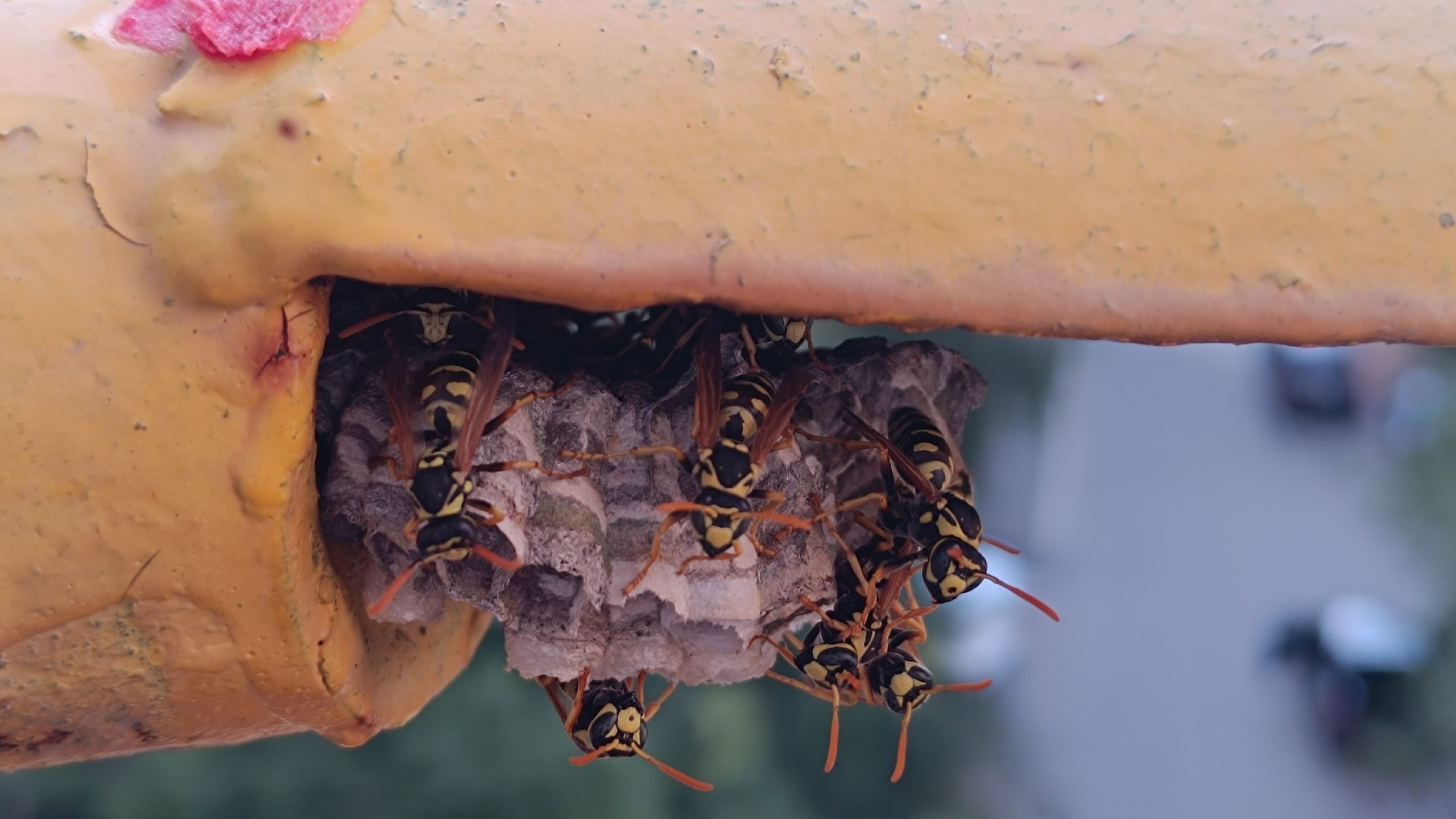 Читальный зал. Марина Рыбкина — Глубинная психология