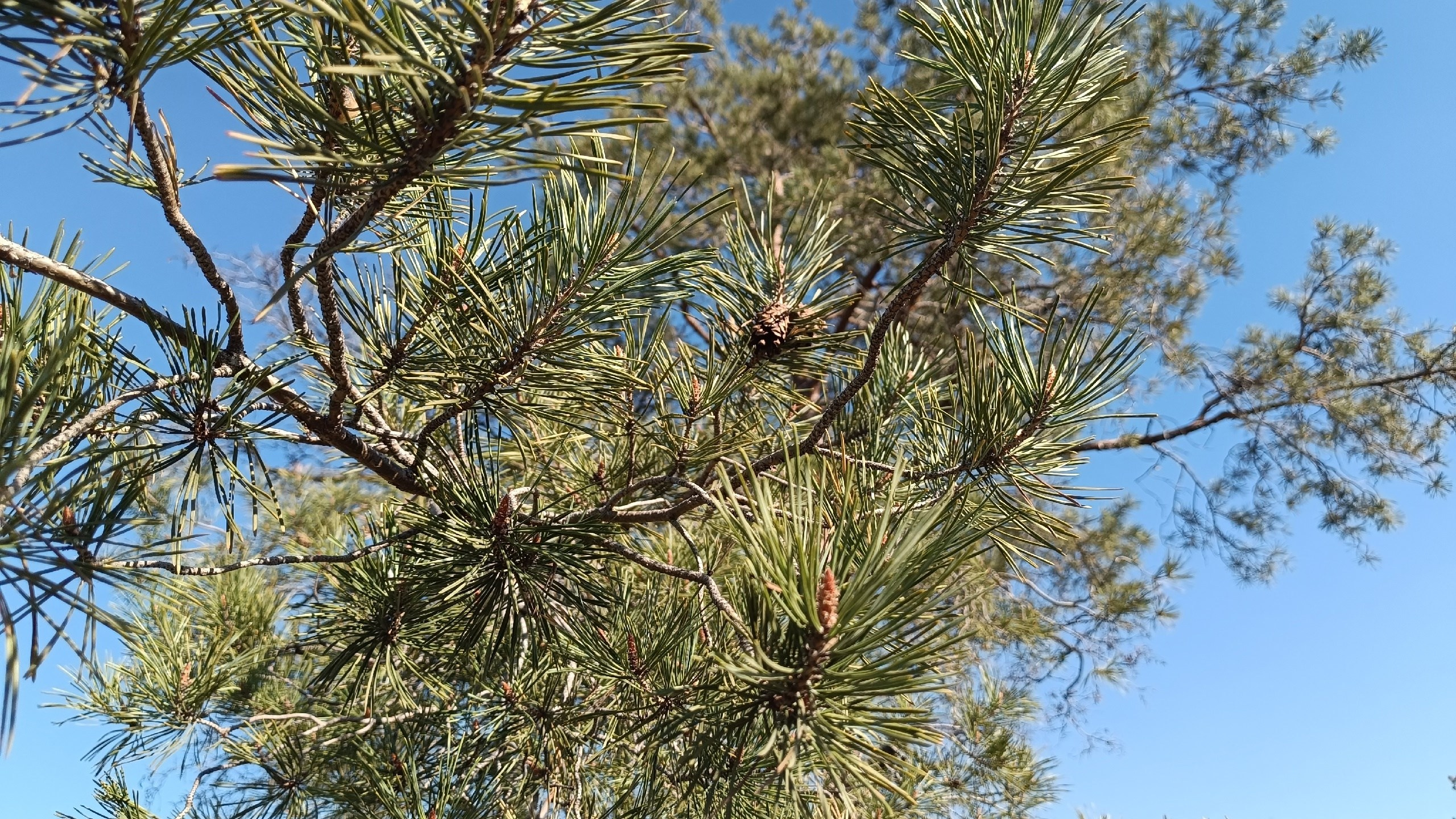 Читальный зал. Марина Рыбкина — Глубинная психология