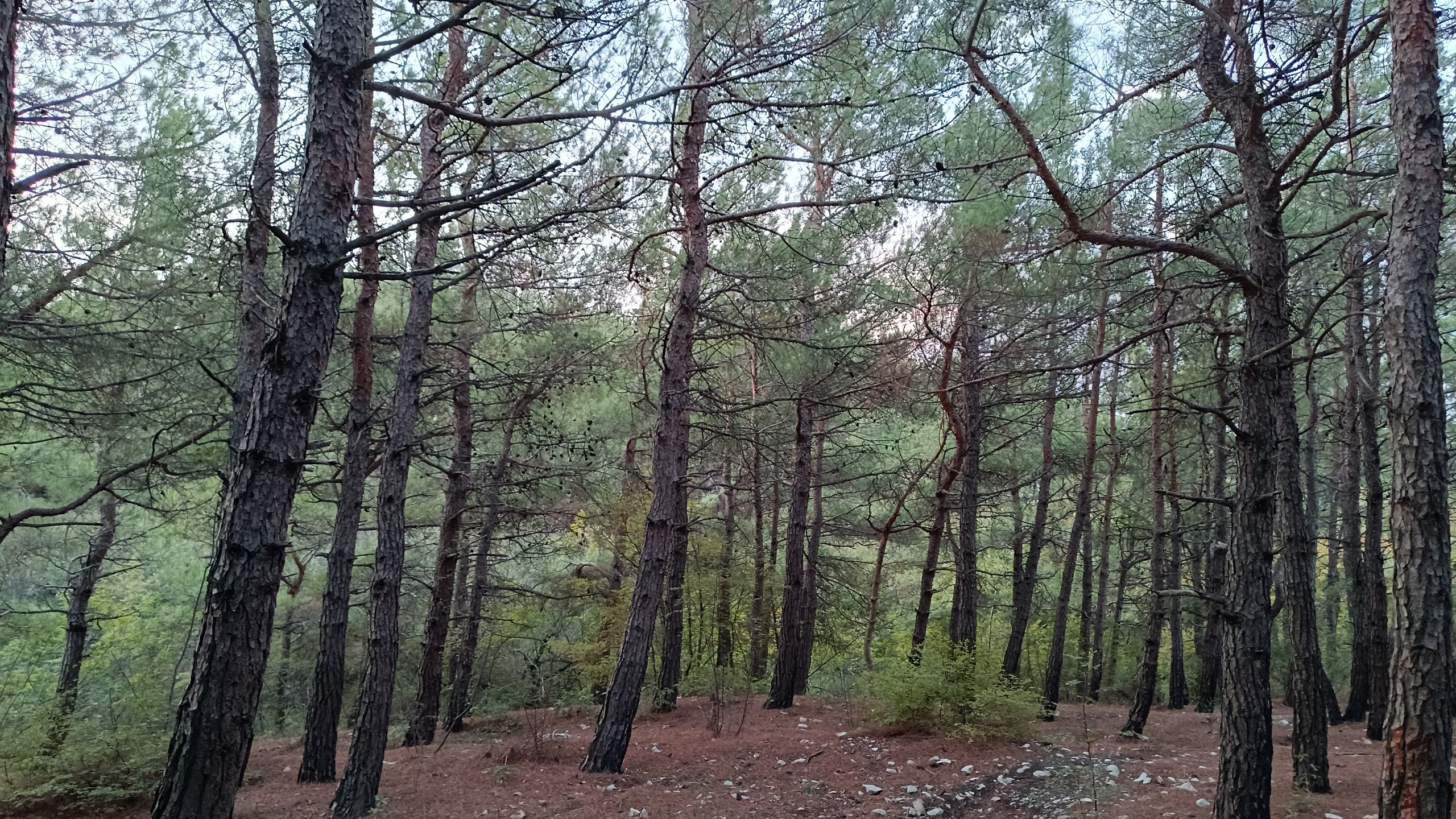 Читальный зал. Марина Рыбкина — Глубинная психология