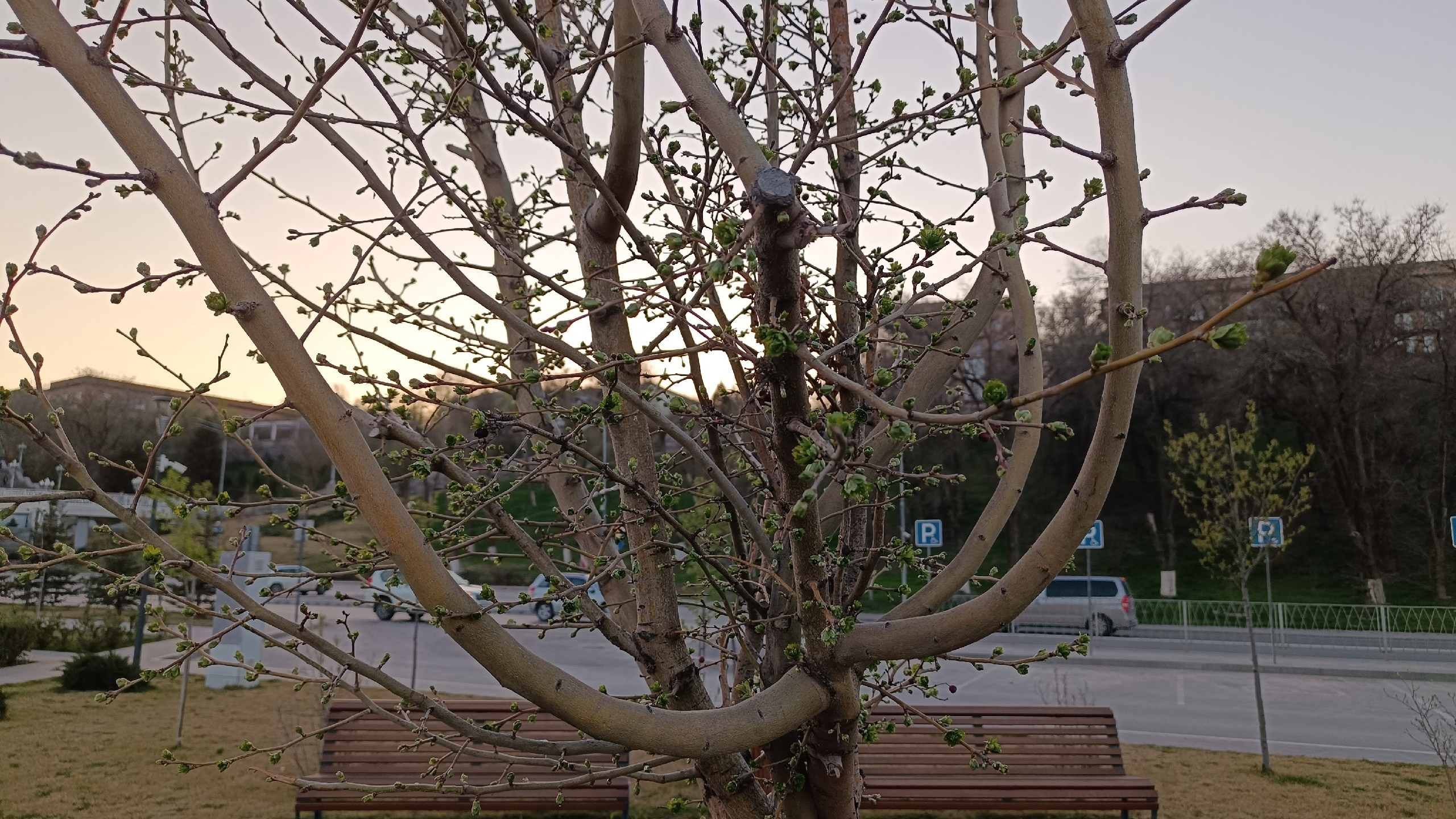 Читальный зал. Марина Рыбкина — Глубинная психология