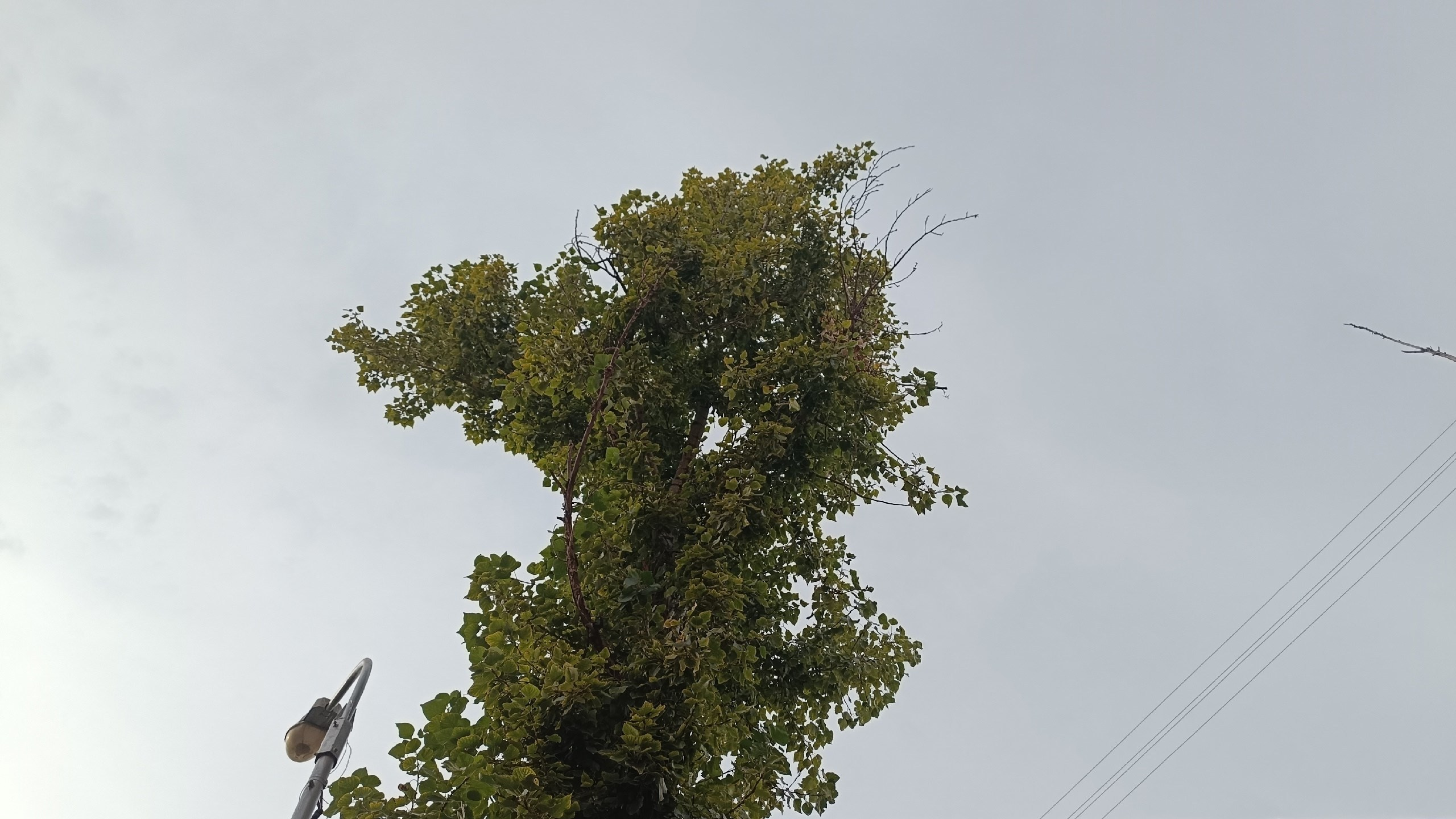 Читальный зал. Марина Рыбкина — Глубинная психология