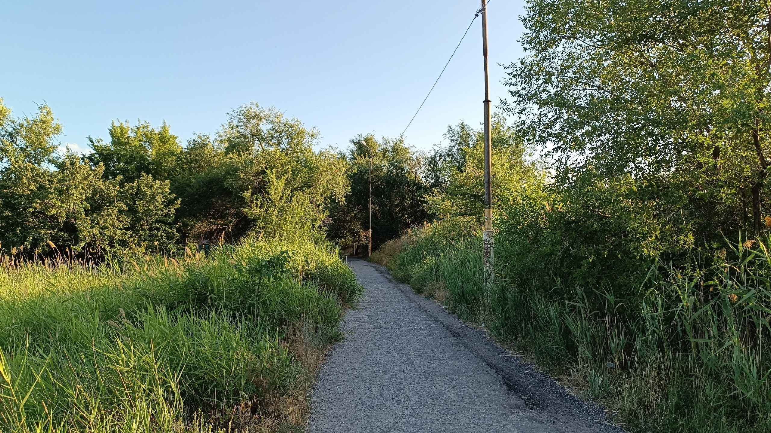 Читальный зал. Марина Рыбкина — Глубинная психология