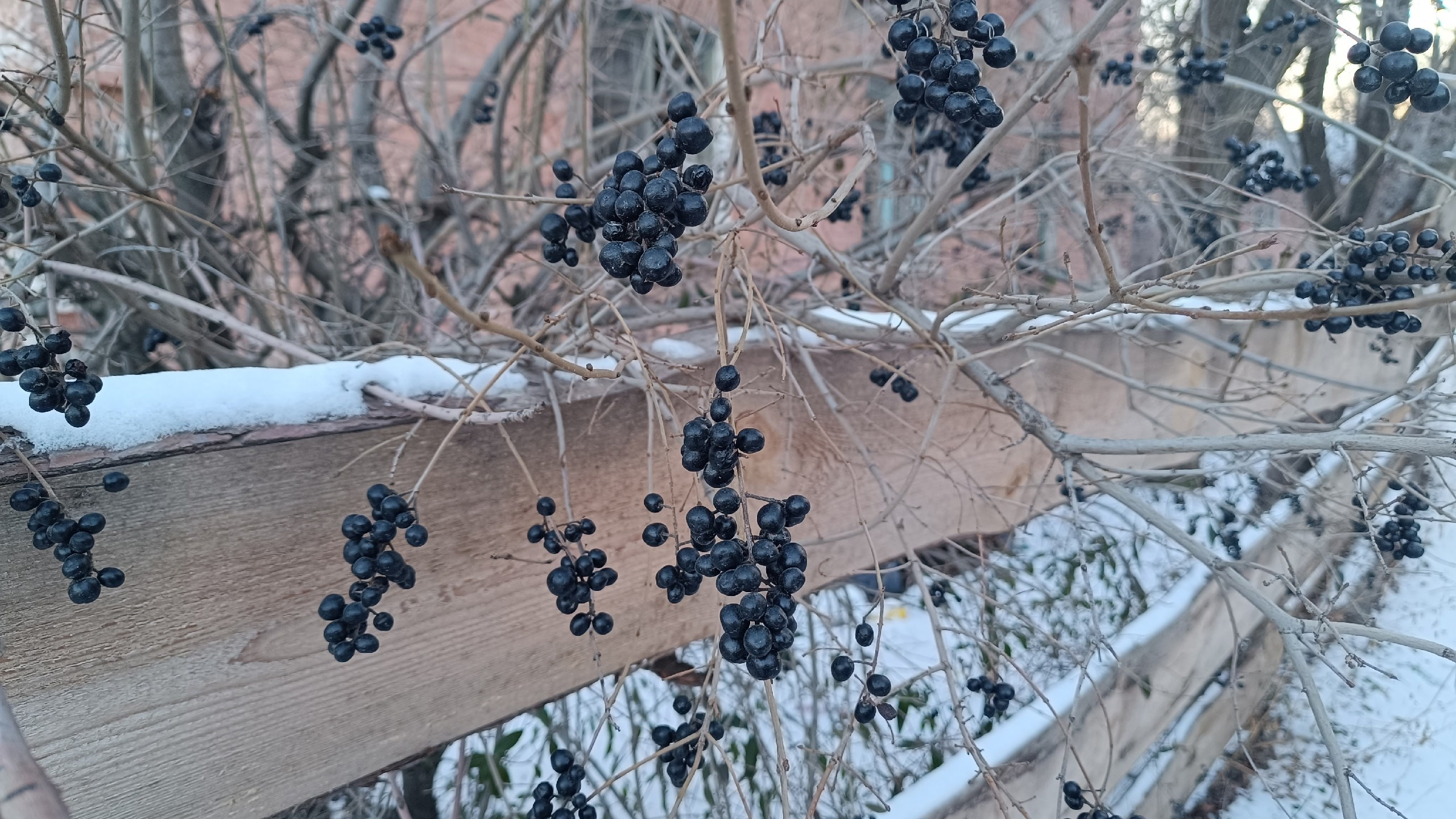 Читальный зал. Марина Рыбкина — Глубинная психология