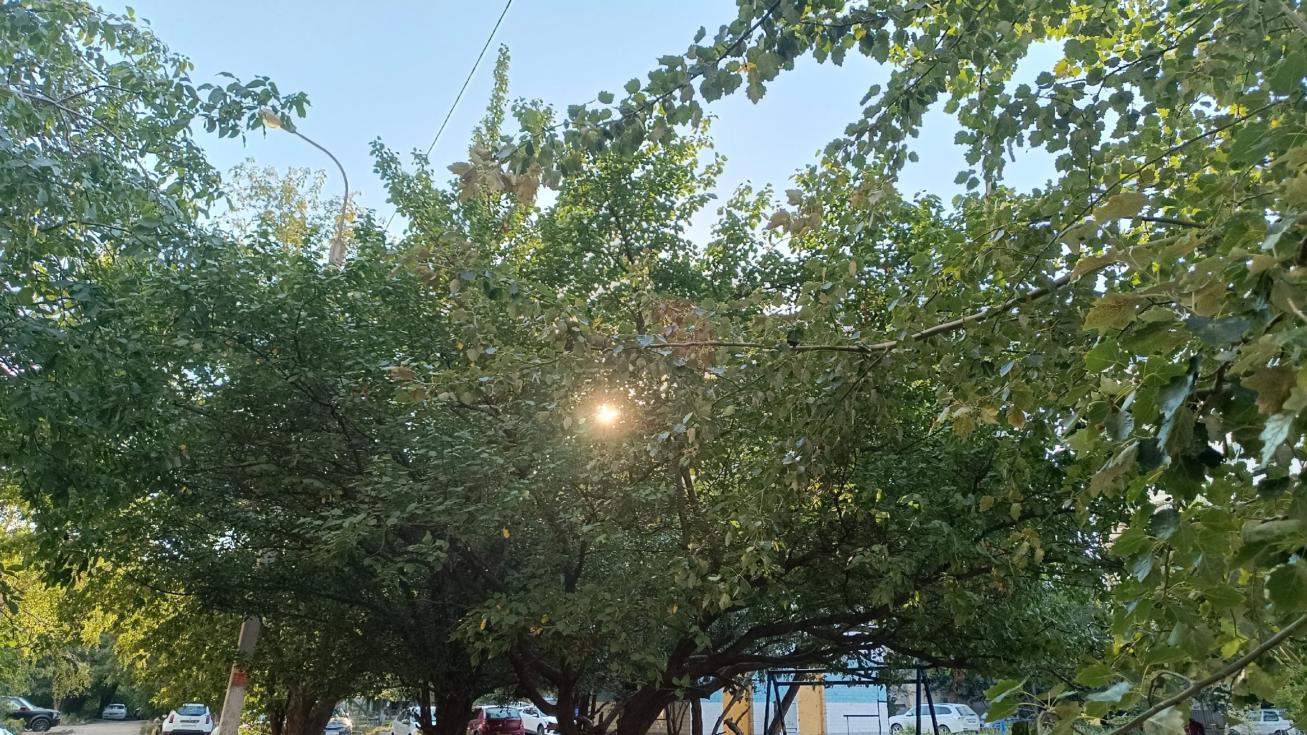 Читальный зал. Марина Рыбкина — Глубинная психология