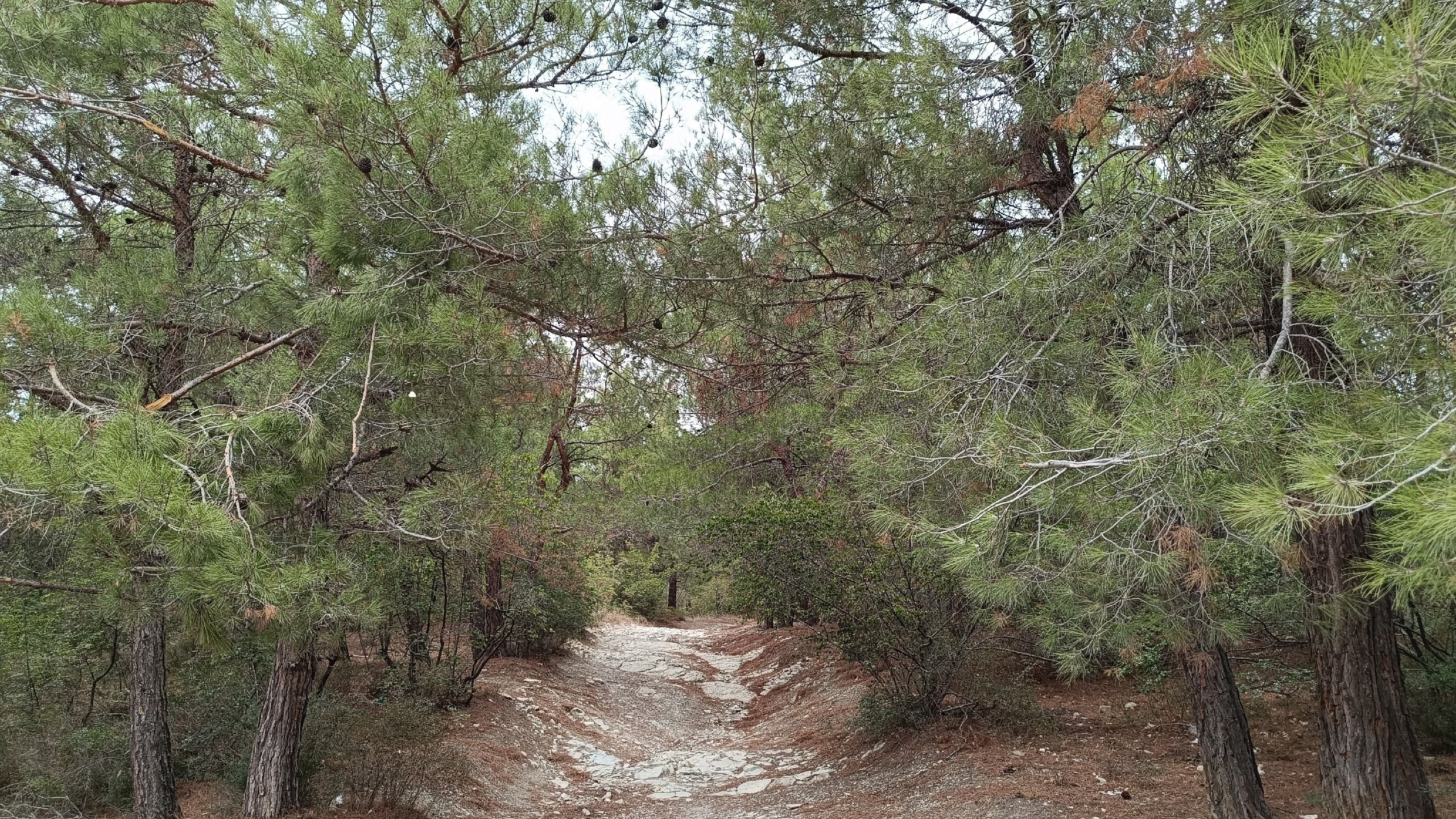 Читальный зал. Марина Рыбкина — Глубинная психология