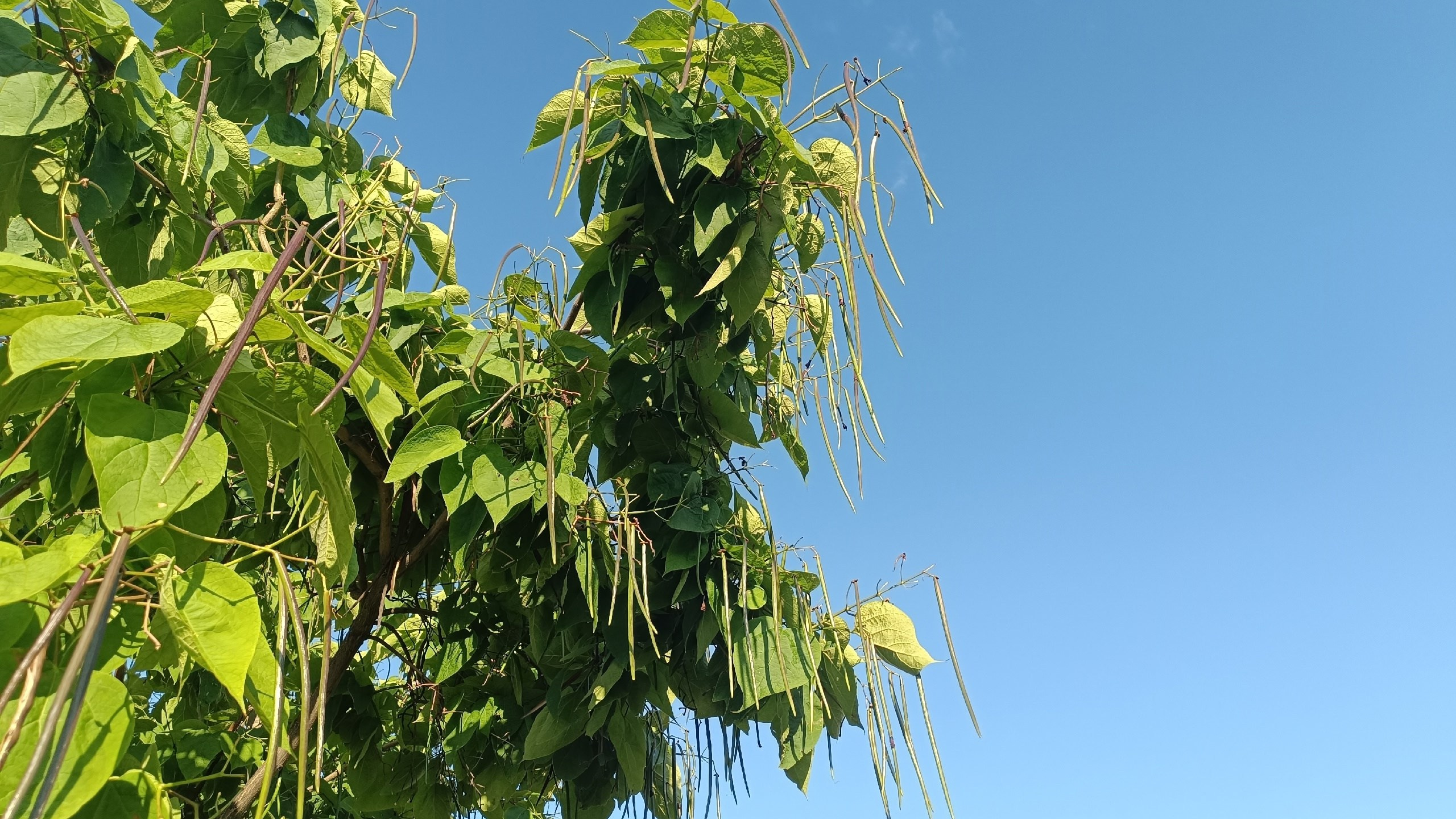Читальный зал. Марина Рыбкина — Глубинная психология