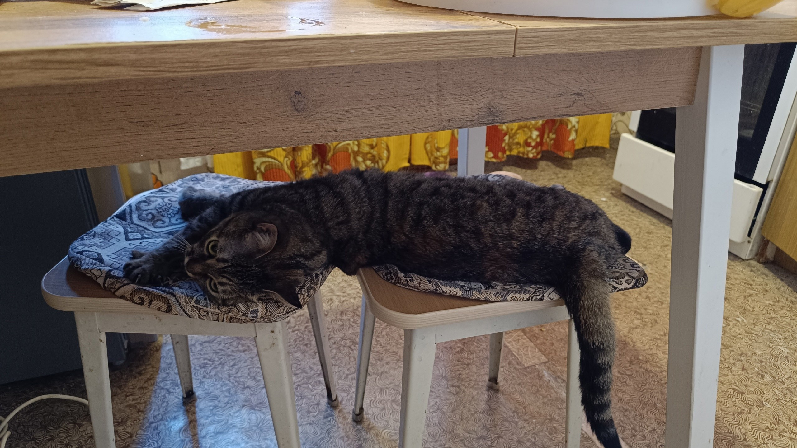 Читальный зал. Марина Рыбкина — Глубинная психология