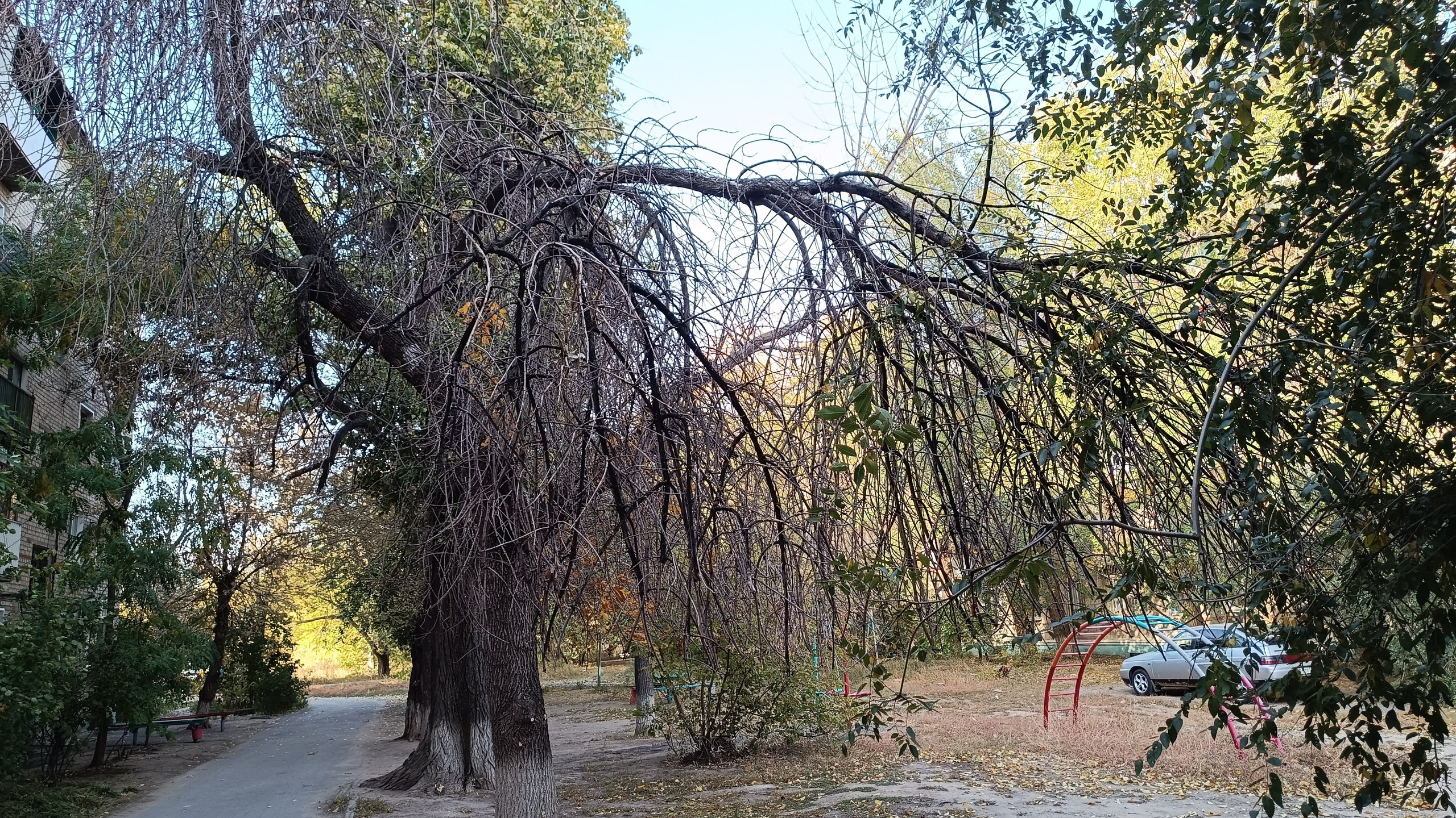 Читальный зал. Марина Рыбкина — Глубинная психология