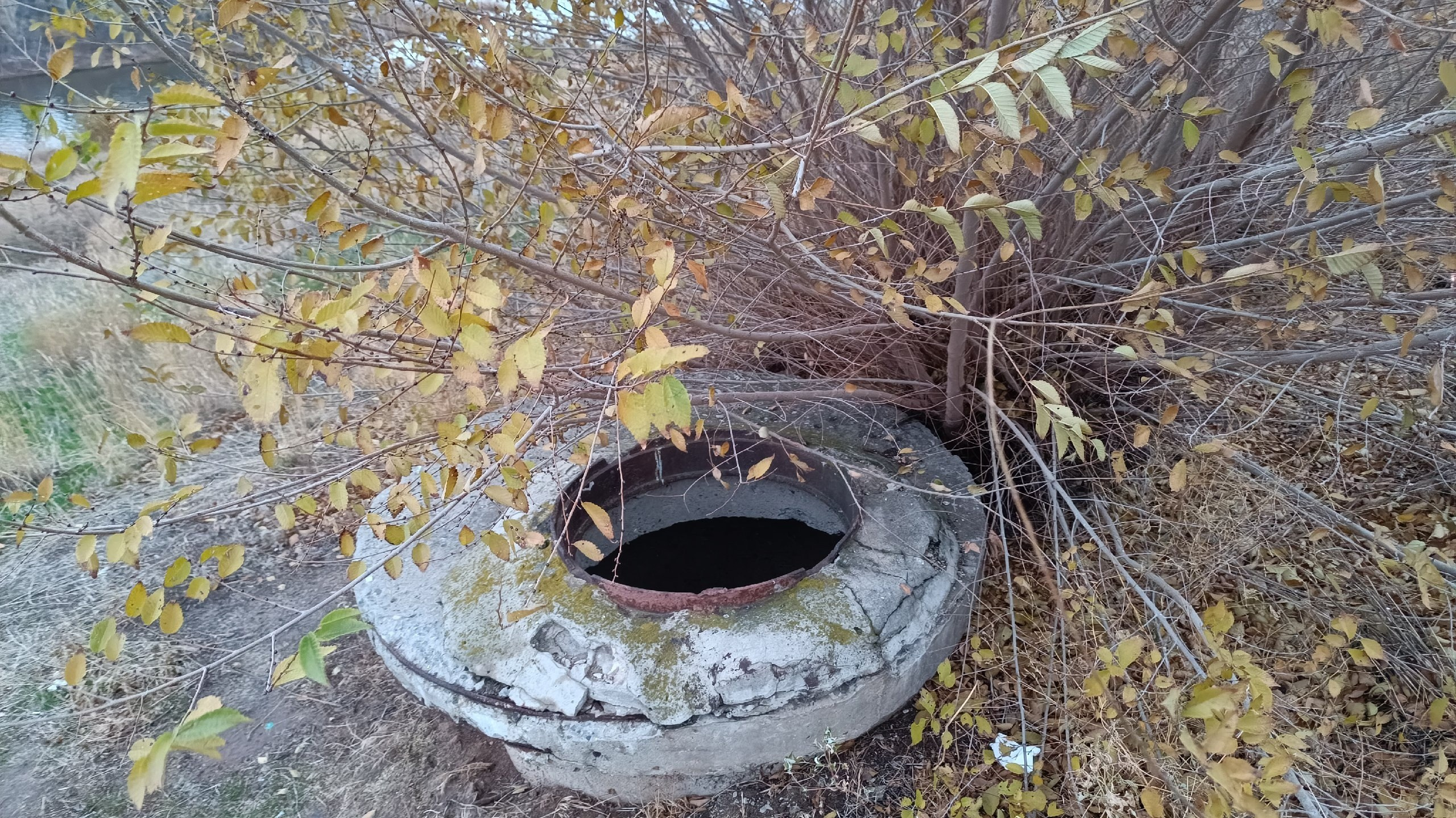 Читальный зал. Марина Рыбкина — Глубинная психология