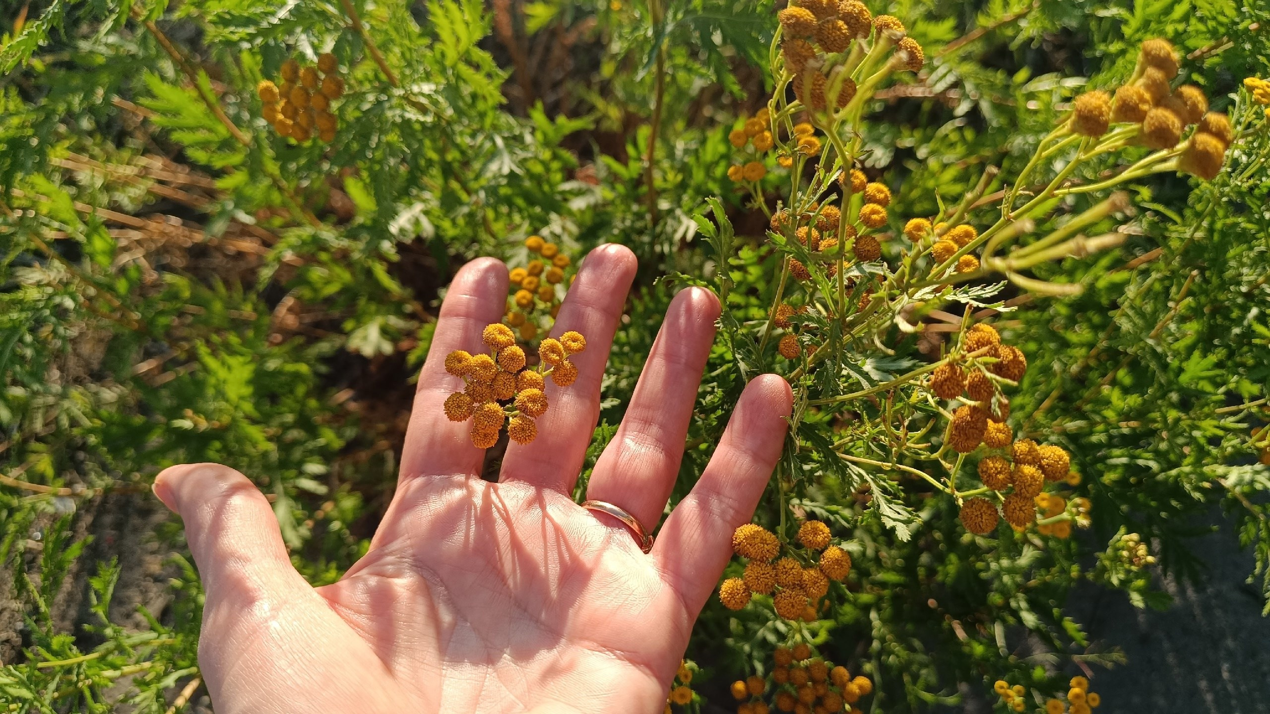 Читальный зал. Марина Рыбкина — Глубинная психология