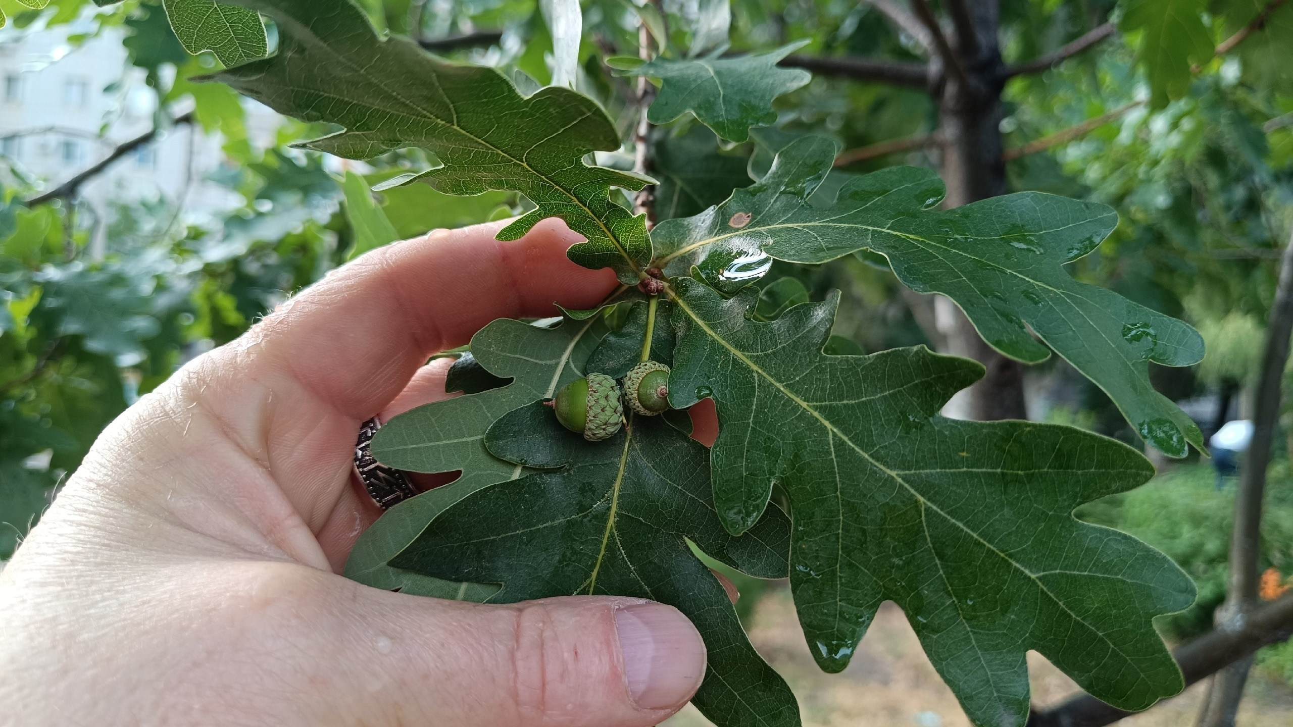 Читальный зал. Марина Рыбкина — Глубинная психология