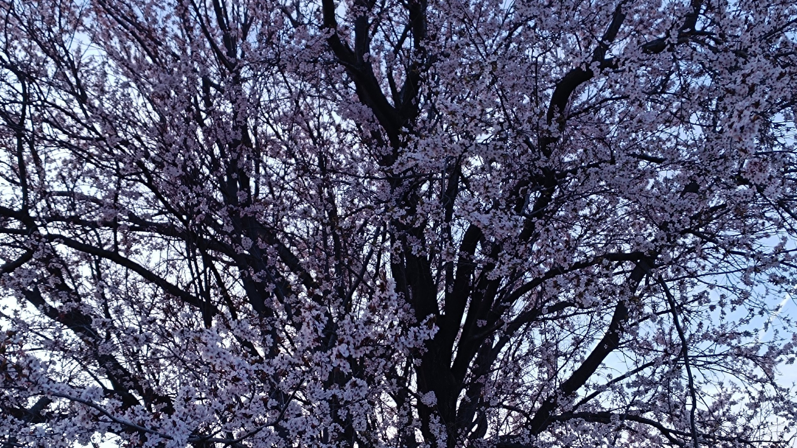 Сама жизнь — радость. Марина Рыбкина — Глубинная психология