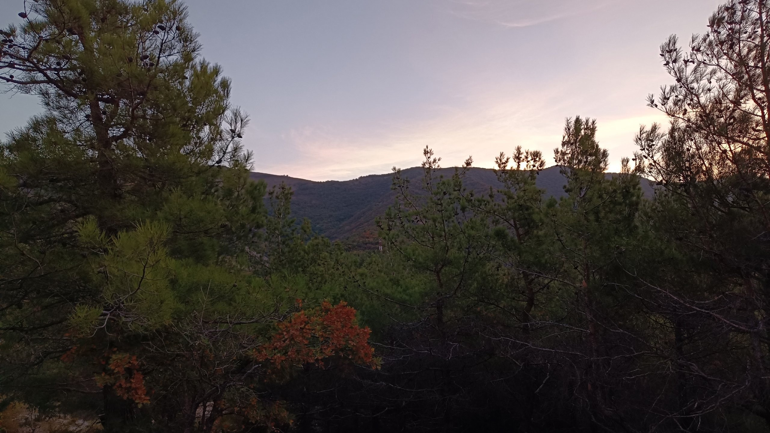 Читальный зал. Марина Рыбкина — Глубинная психология