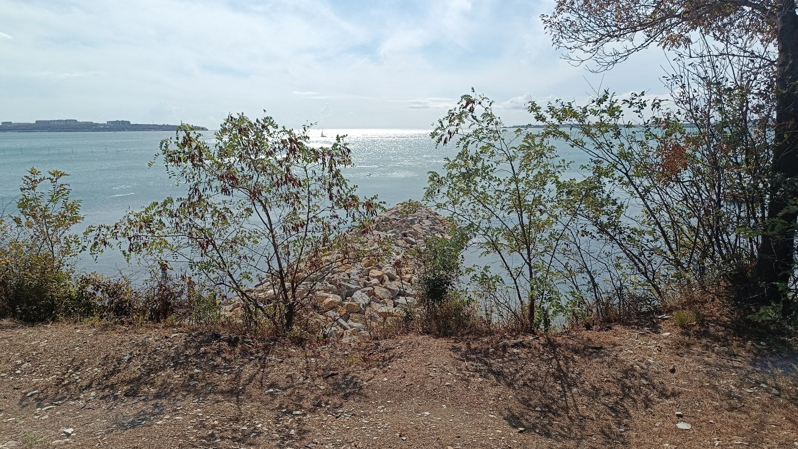 Читальный зал. Марина Рыбкина — Глубинная психология