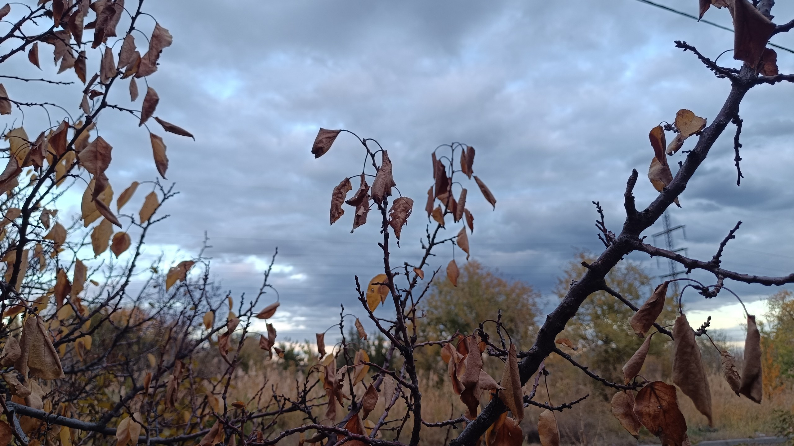 Читальный зал. Марина Рыбкина — Глубинная психология