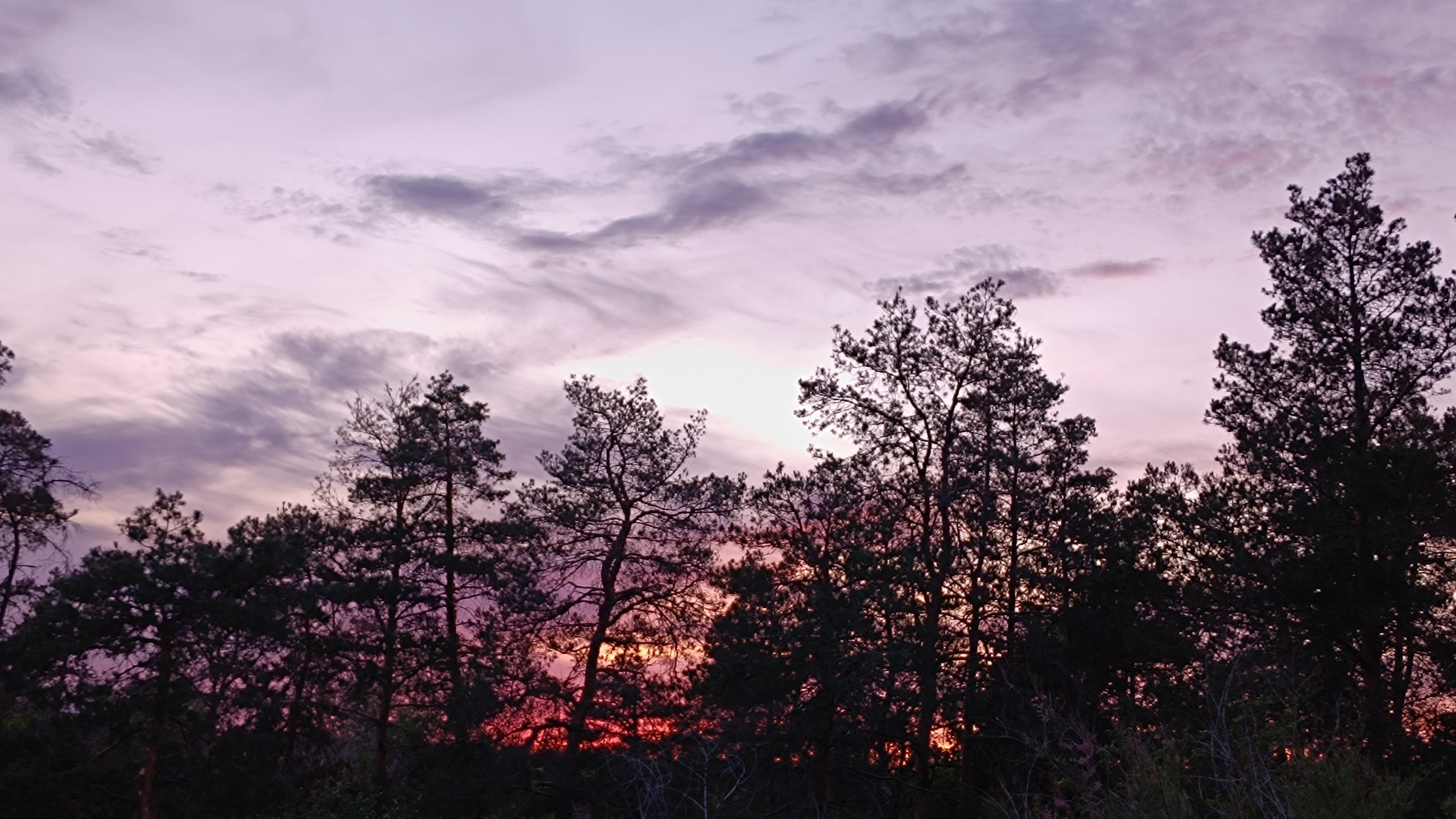 Читальный зал. Марина Рыбкина — Глубинная психология