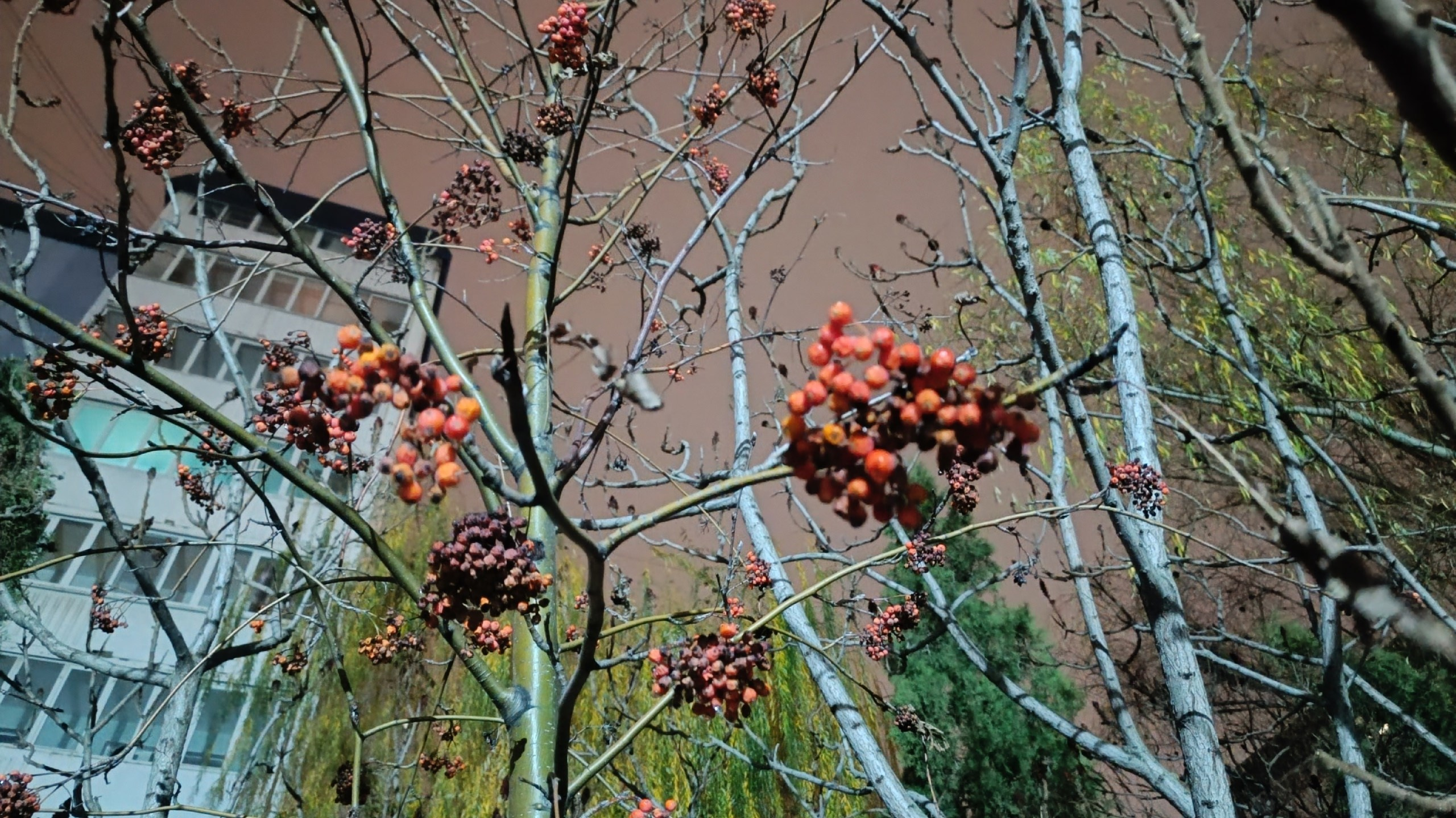 Читальный зал. Марина Рыбкина — Глубинная психология