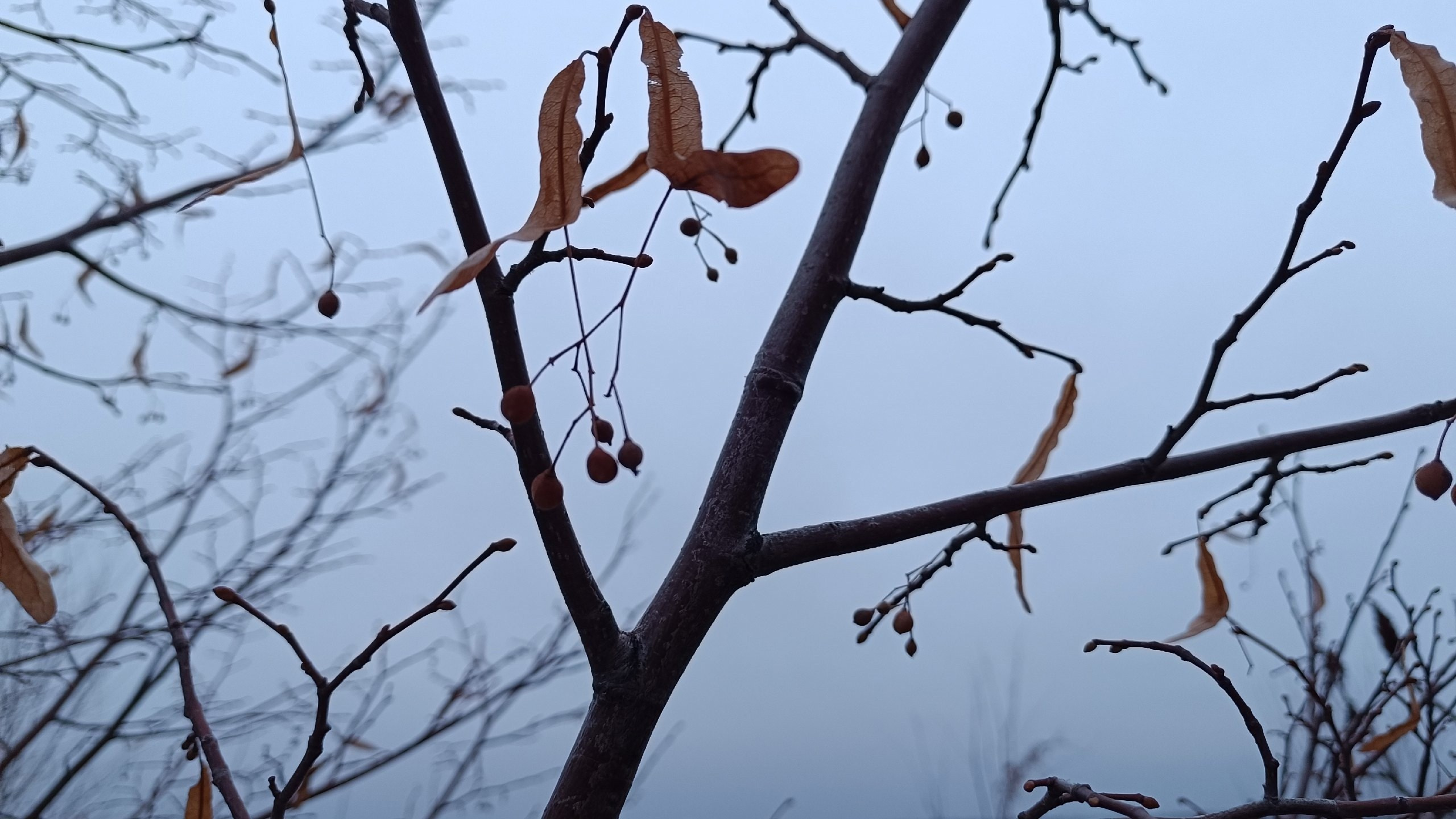 Читальный зал. Марина Рыбкина — Глубинная психология