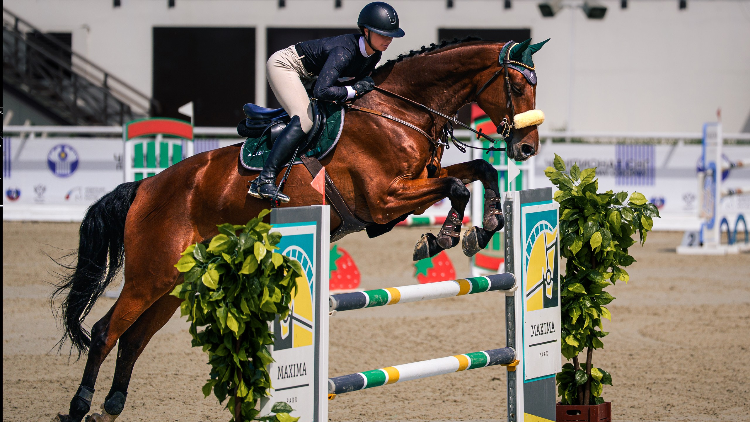 Спорт — спортивные видео и фотосъёмка: хоккей, конный спорт, Москва