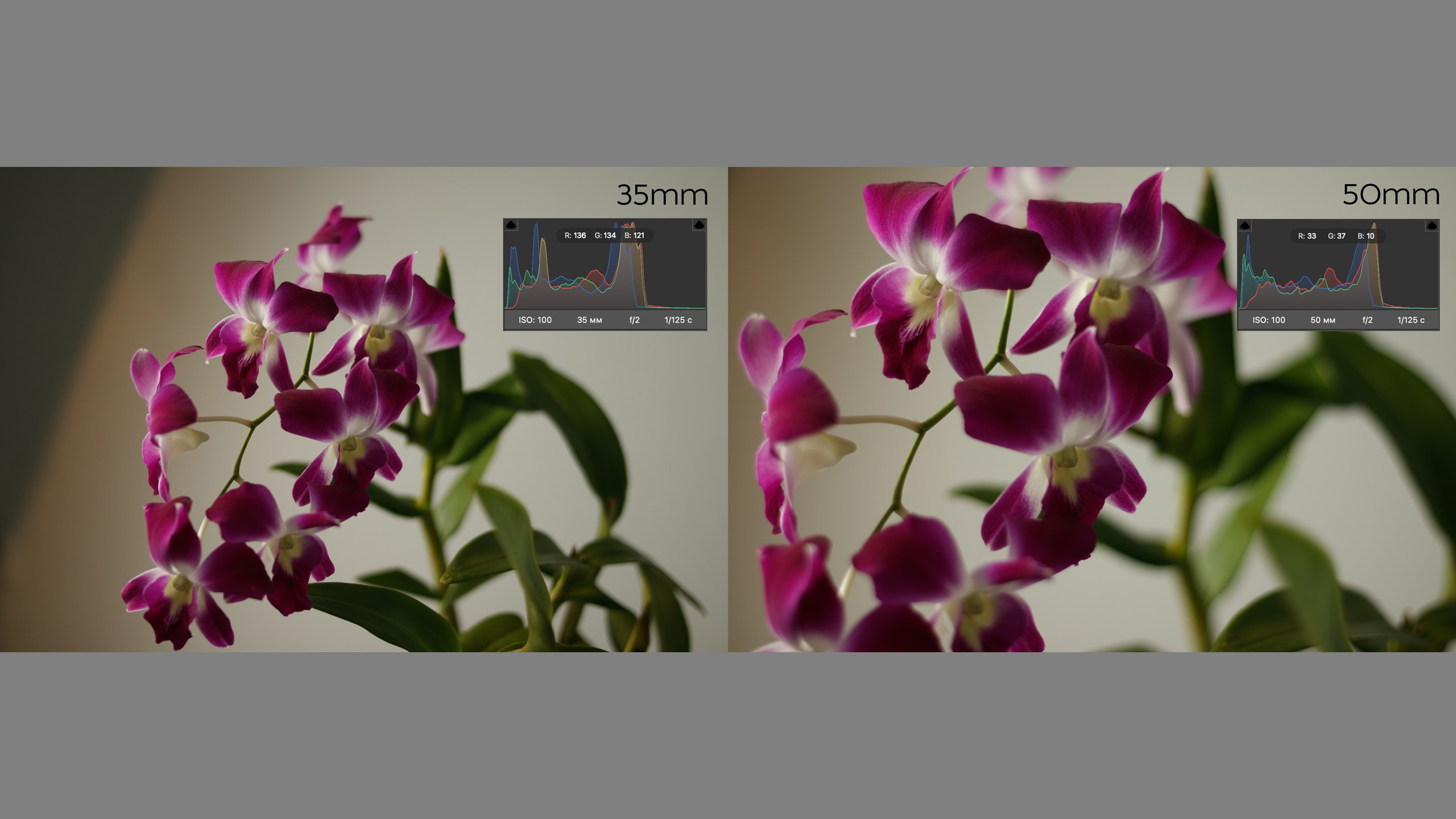 Выбор портретного объектива